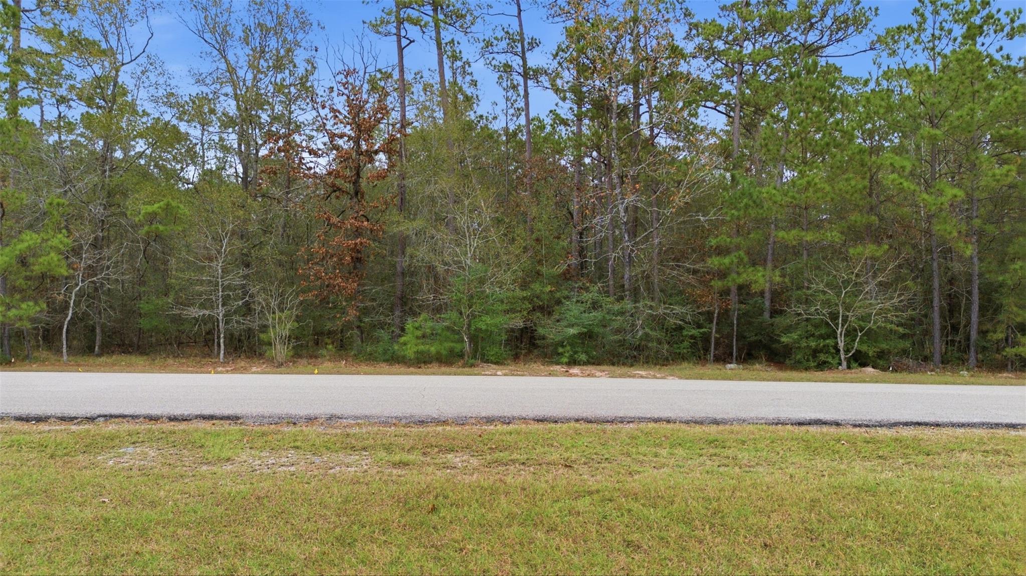 12033 Oak Forest Lane