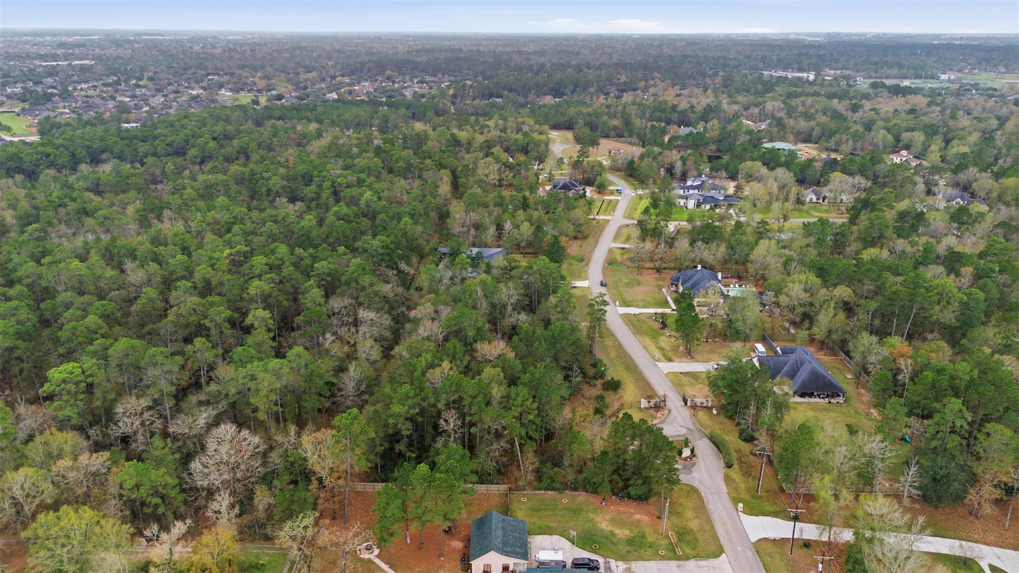 12033 Oak Forest Lane