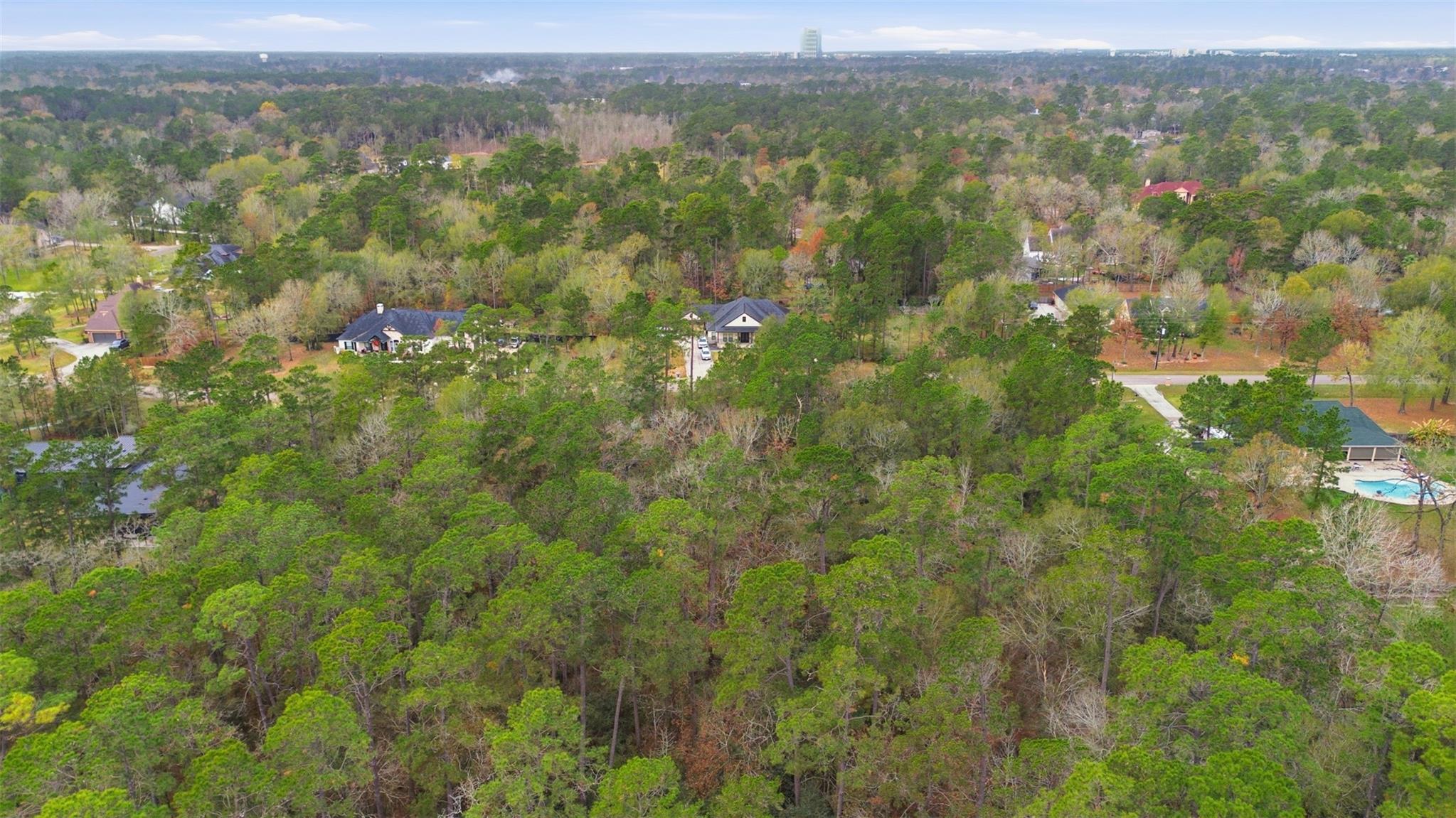 12033 Oak Forest Lane