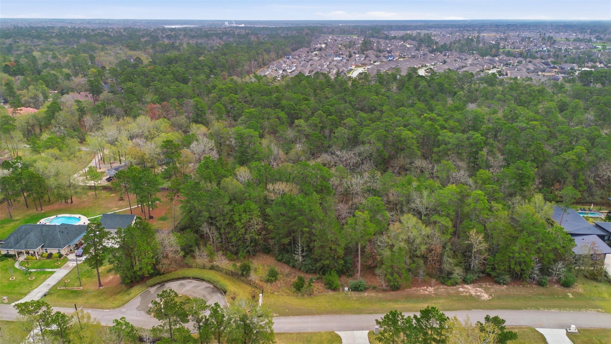 12033 Oak Forest Lane