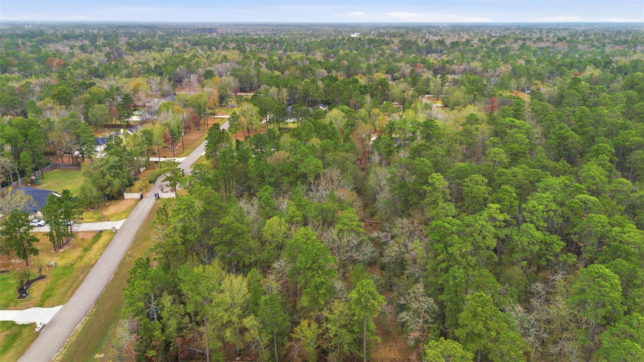 12033 Oak Forest Lane