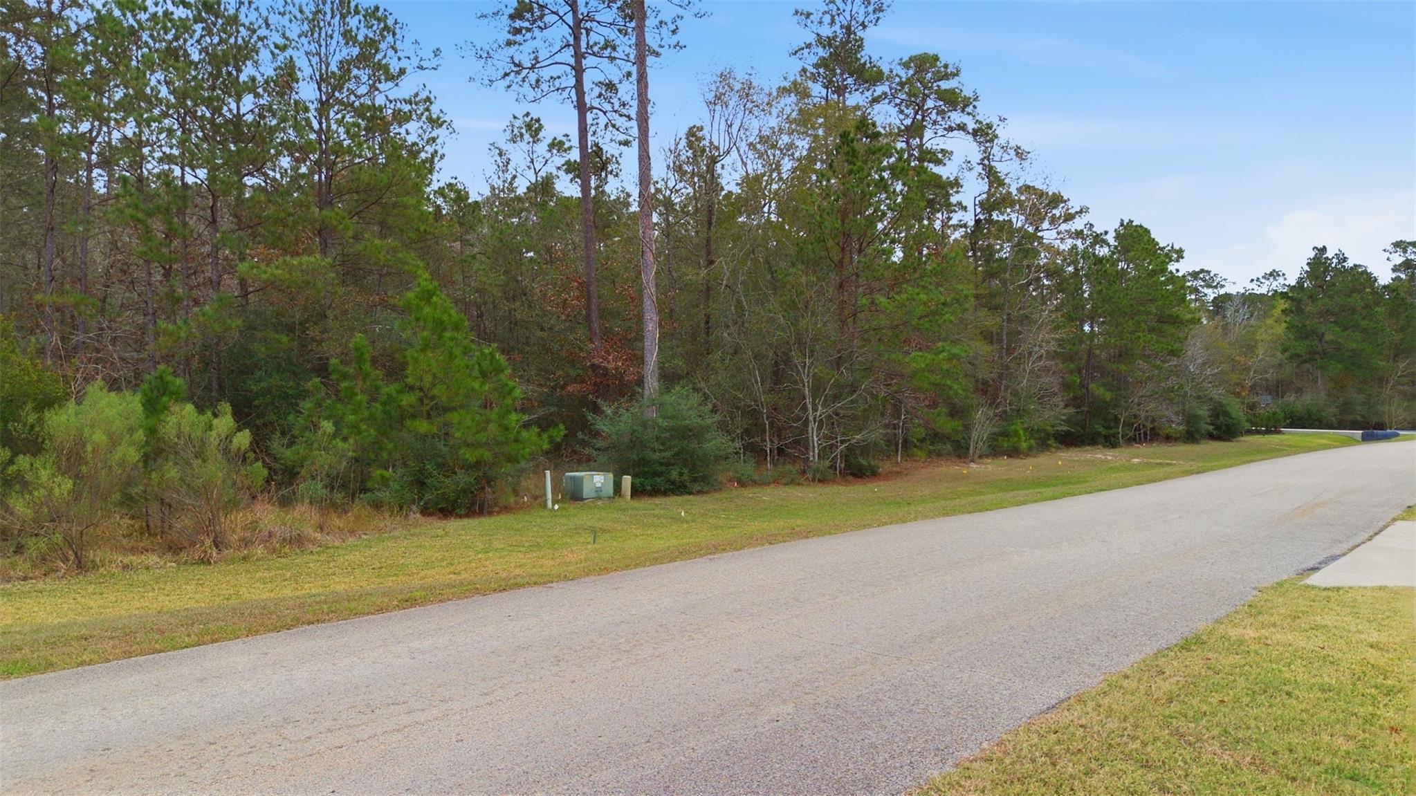 12033 Oak Forest Lane