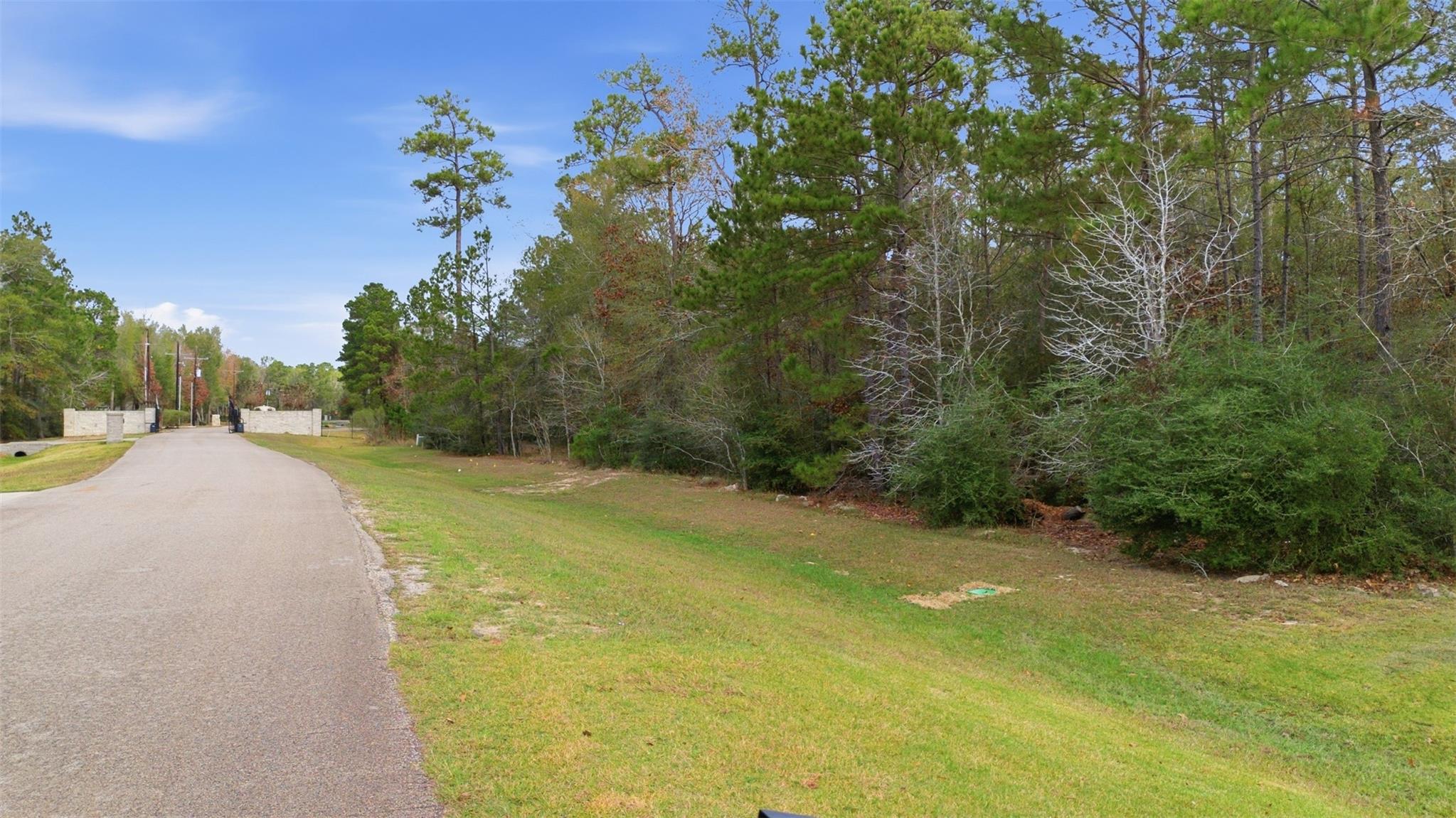 12033 Oak Forest Lane