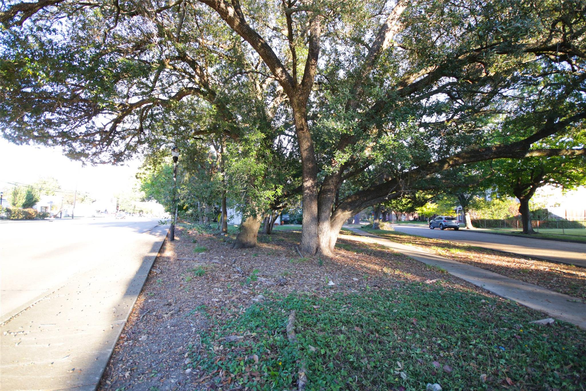 4210 Coleridge Street