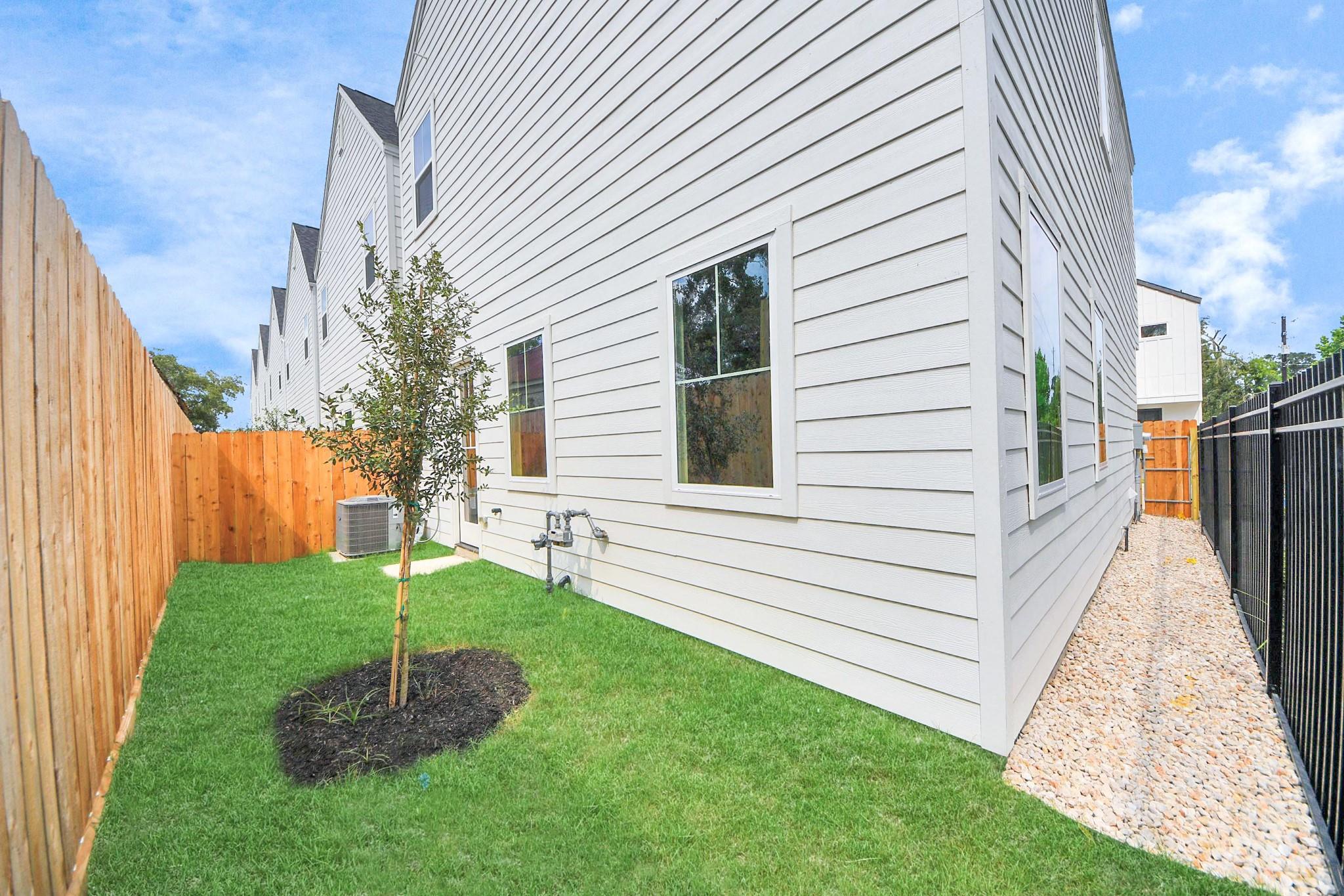 6503 Old Olive Tree Drive