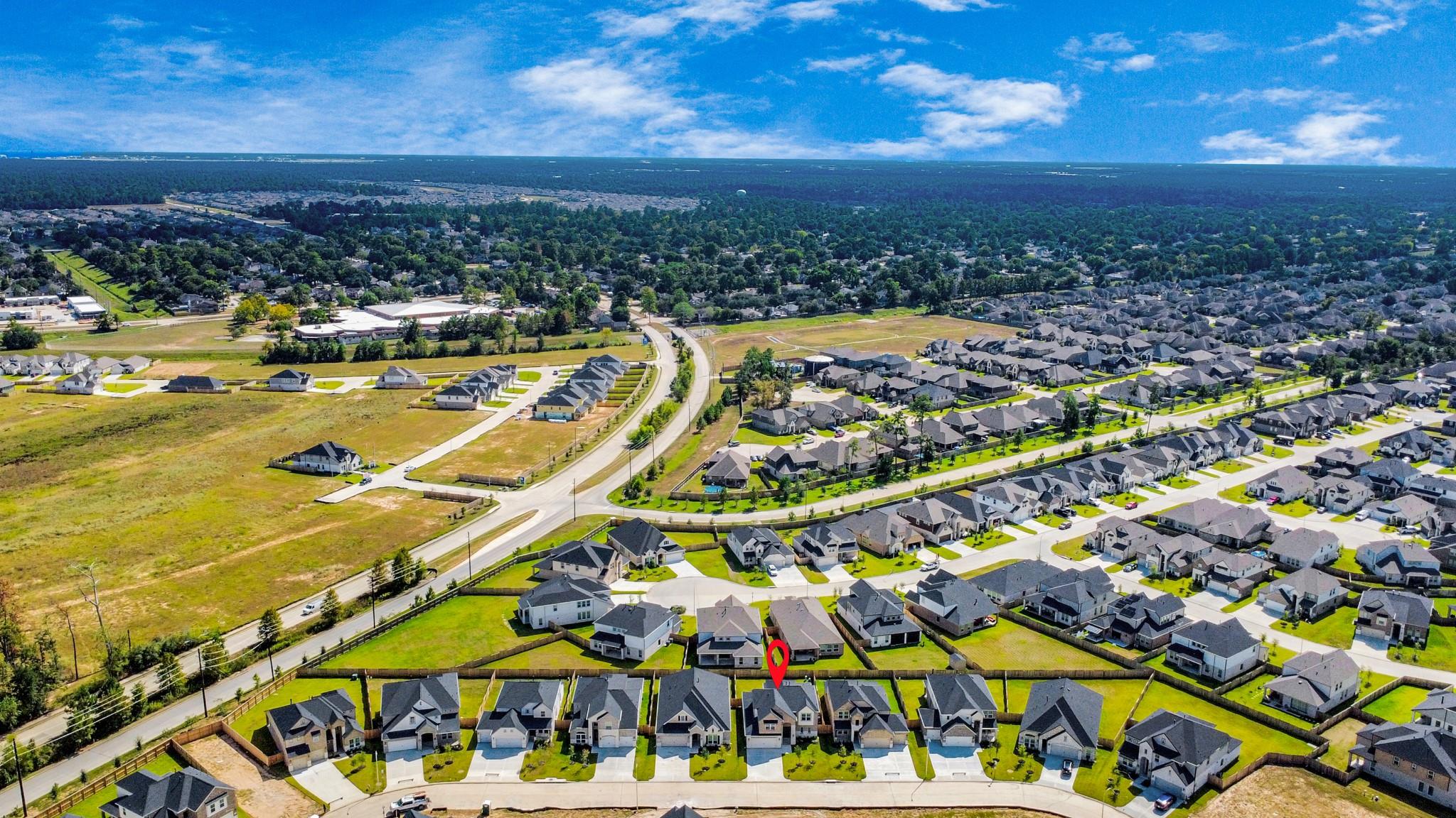 24723 Skerne Woods Drive