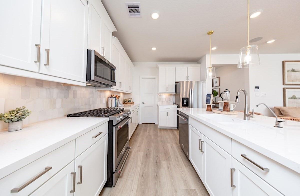 2789 Holly Laurel Drive, Alvin