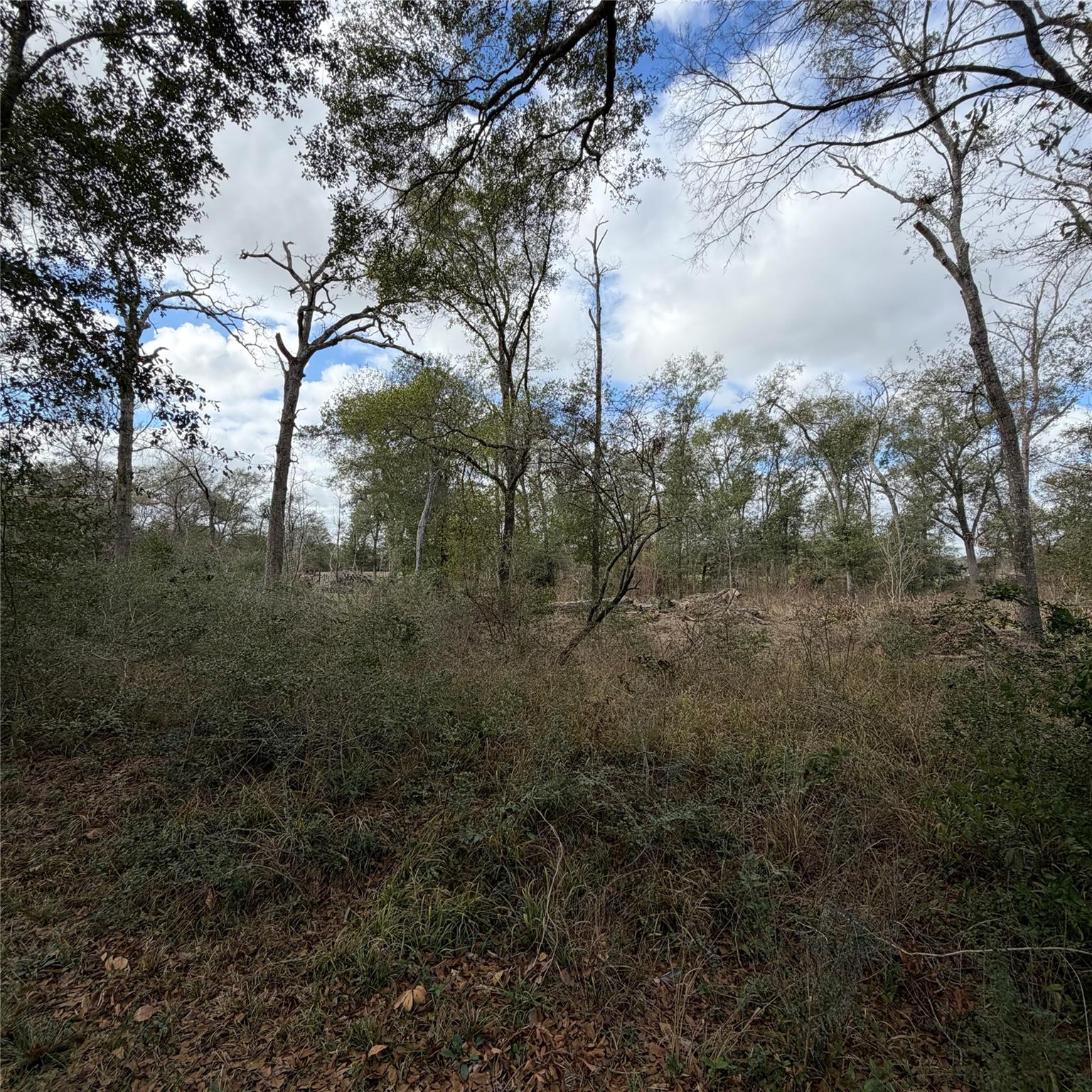 25028 Leitrim Street