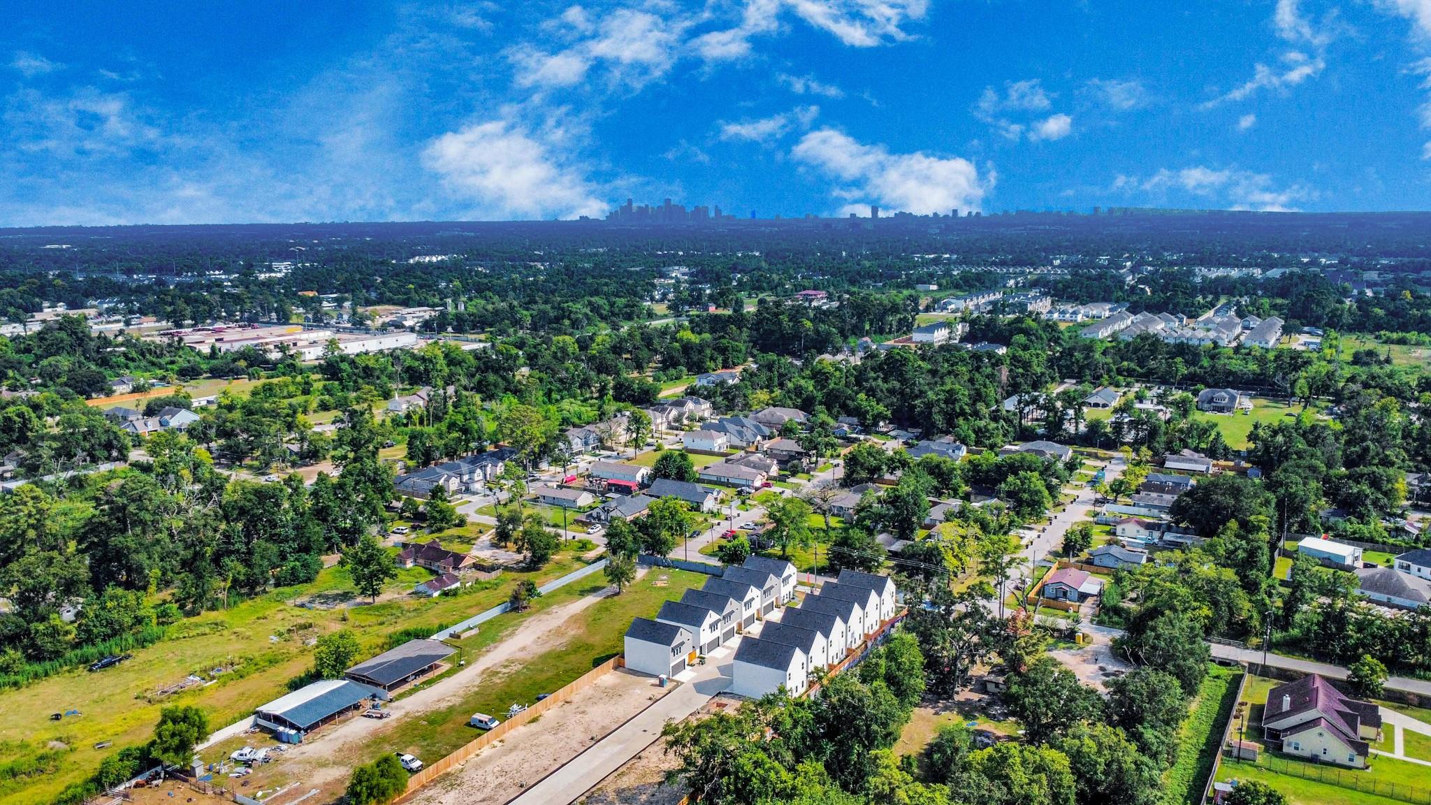 6514 Old Olive Tree Drive