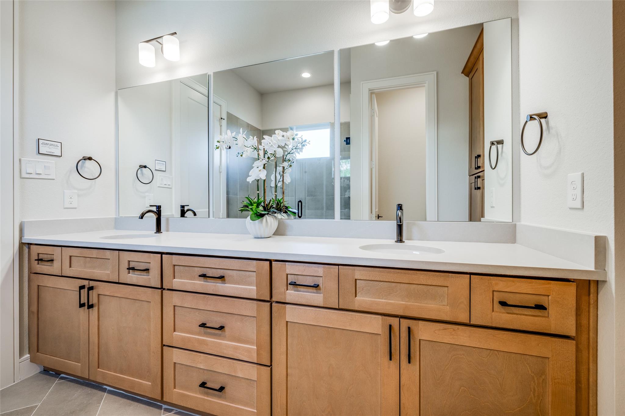 6514 Old Olive Tree Drive