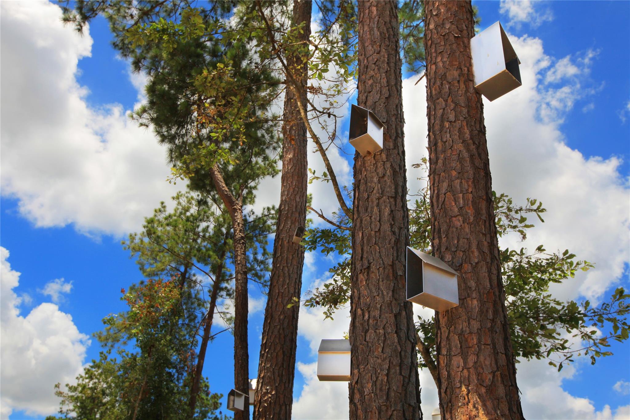 17315 July Moon Lane, Conroe