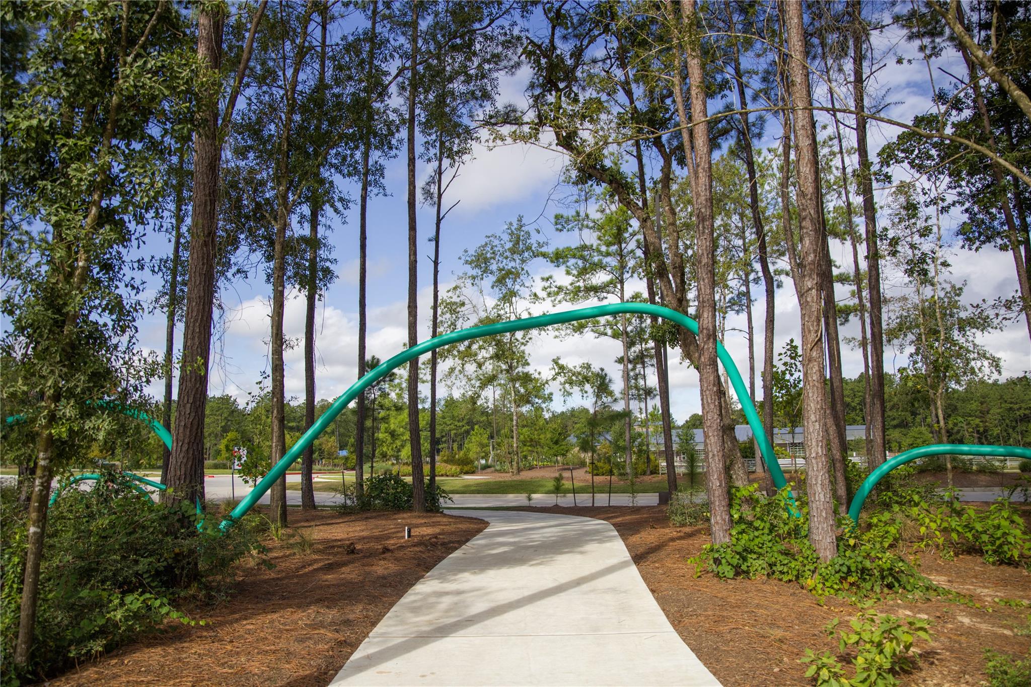 17315 July Moon Lane, Conroe