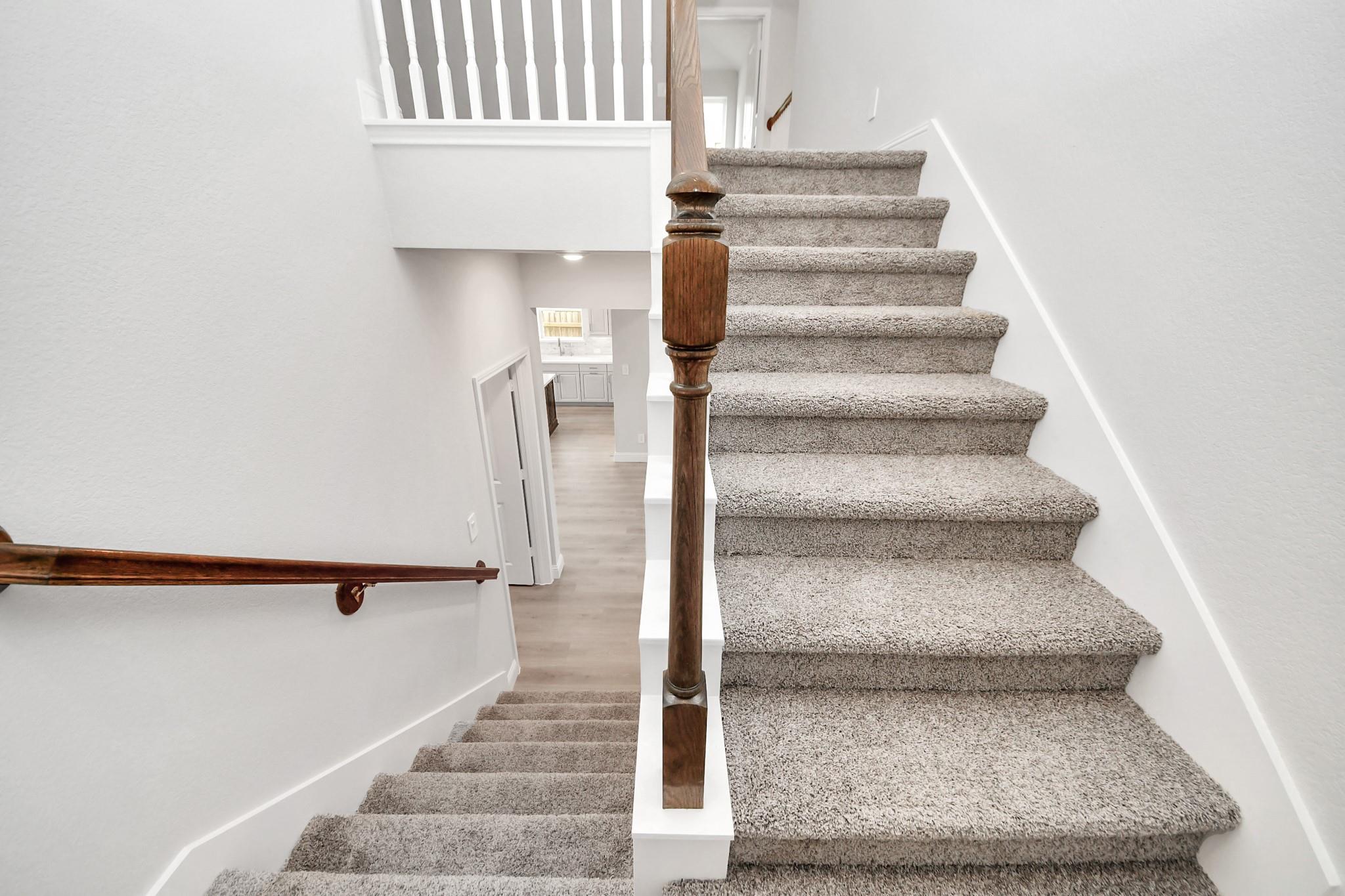 7706 Cattail Shallows Lane