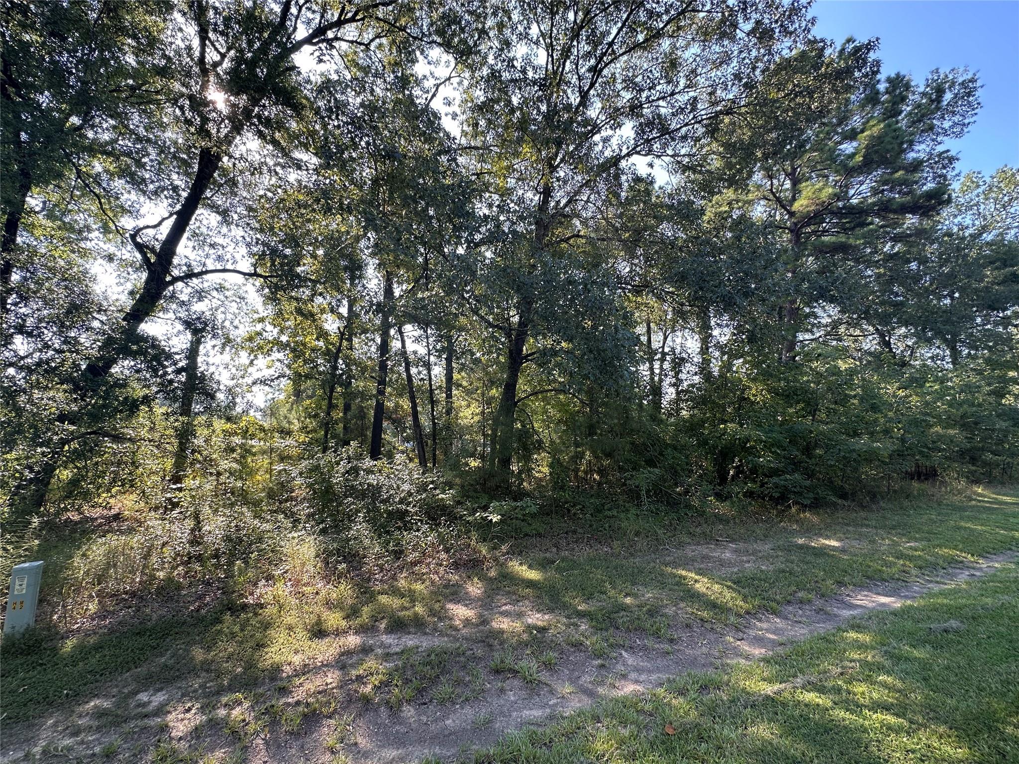 TBD Monte Carlo Road