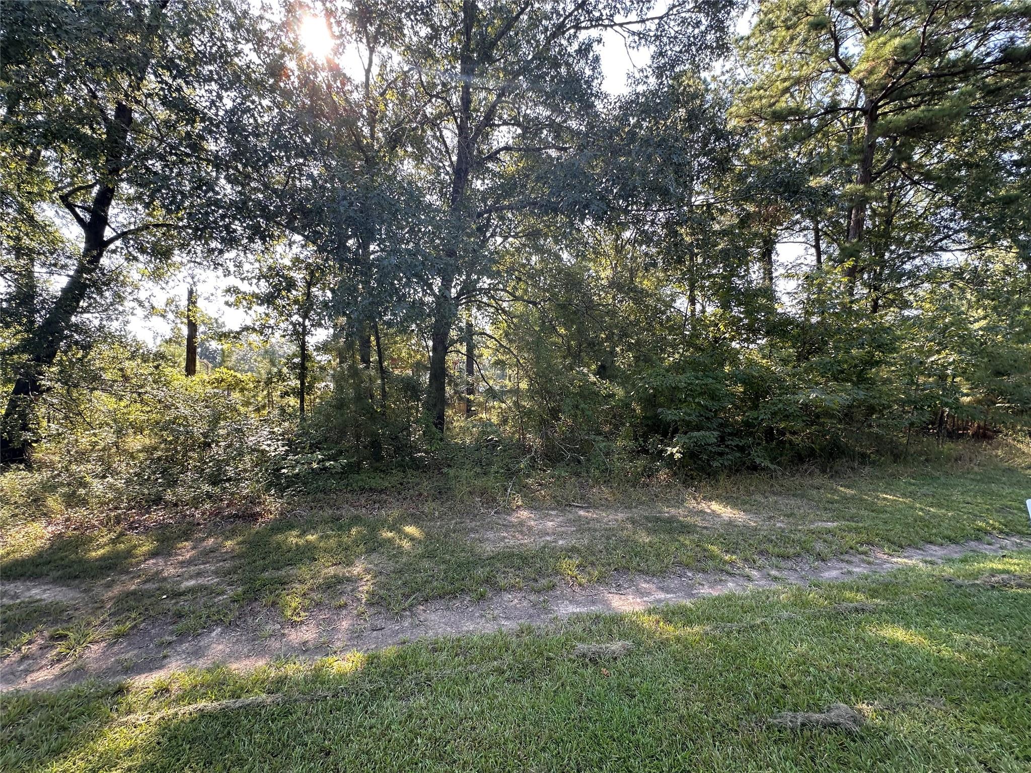 TBD Monte Carlo Road