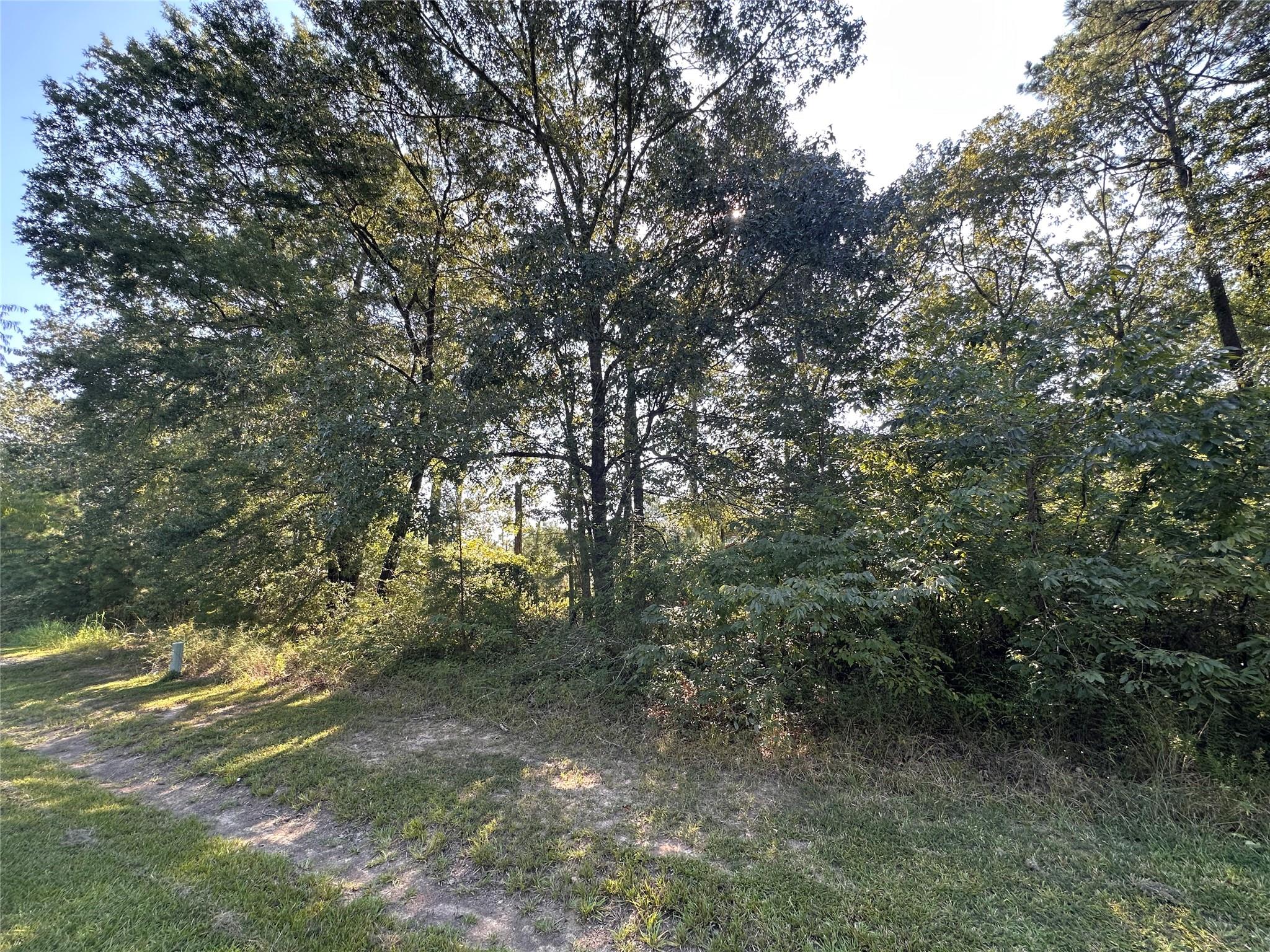 TBD Monte Carlo Road