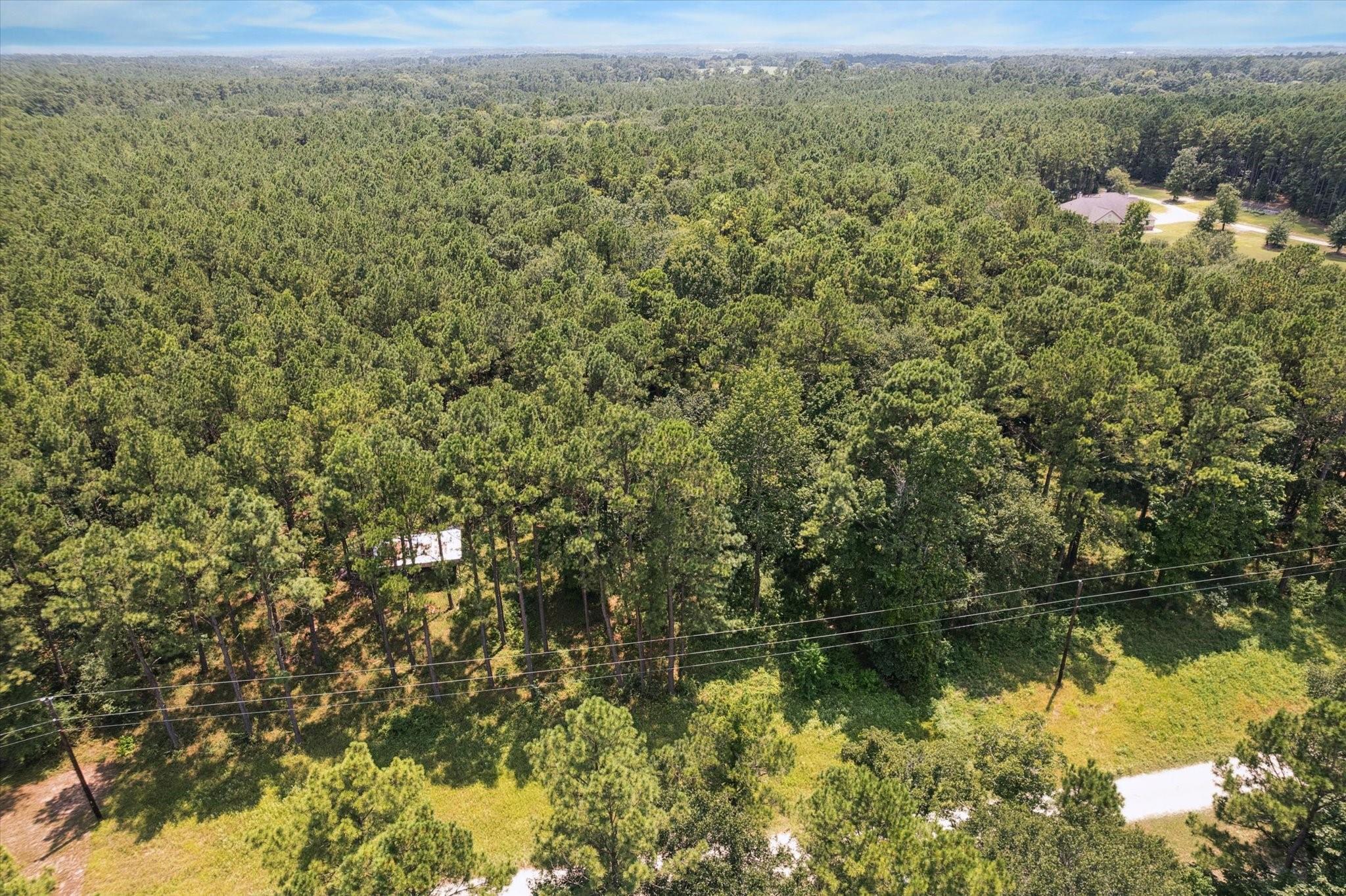4970 Deep Forest Trail
