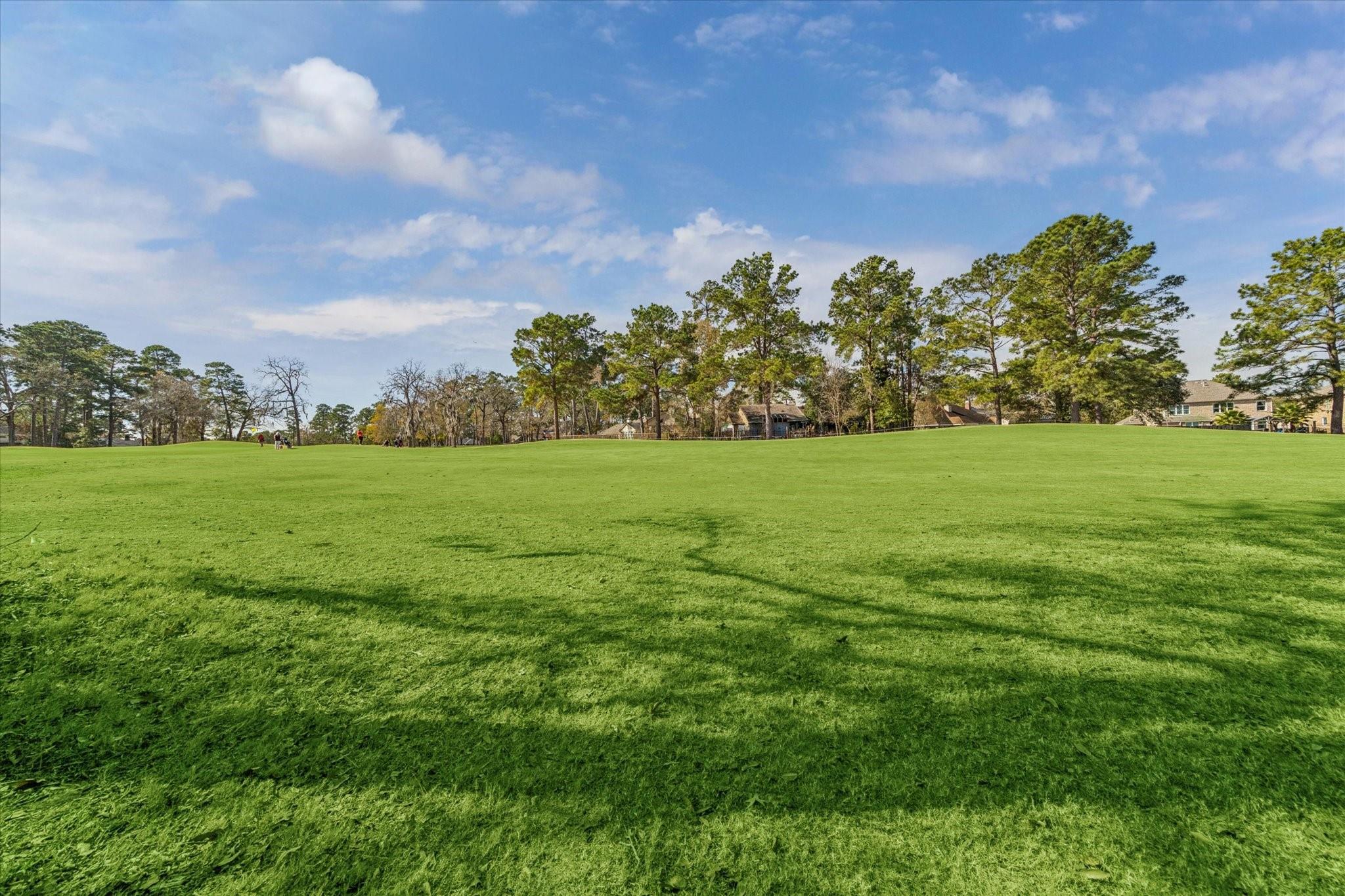 20707 Atascocita Shores Drive