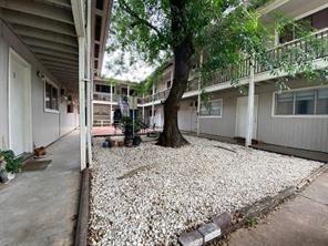 205 Avondale Street # 5