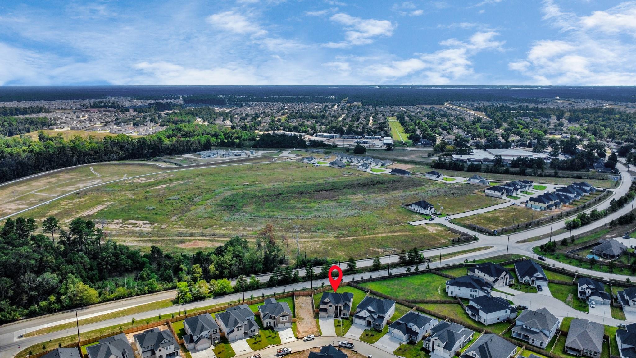 24703 Skerne Woods Dr