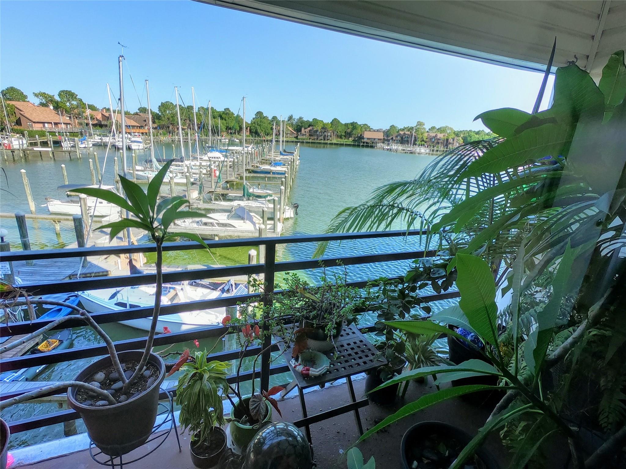 793 Davis Road # 116