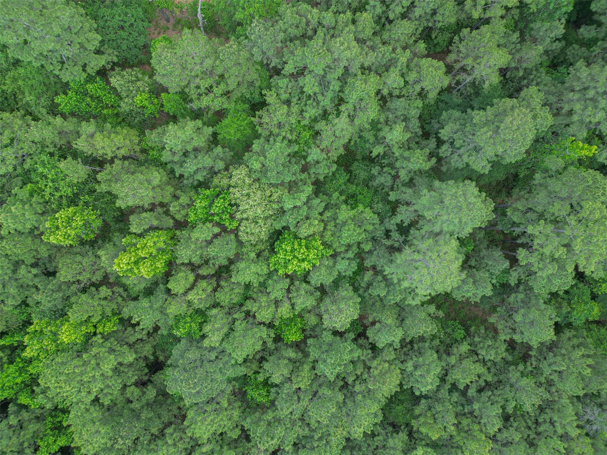 9-21-55 Bighorn Road