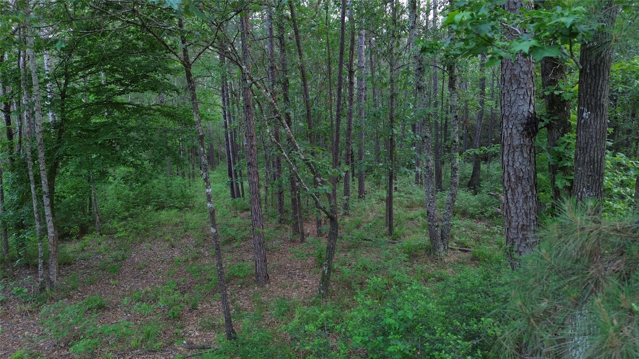 9-21-55 Bighorn Road