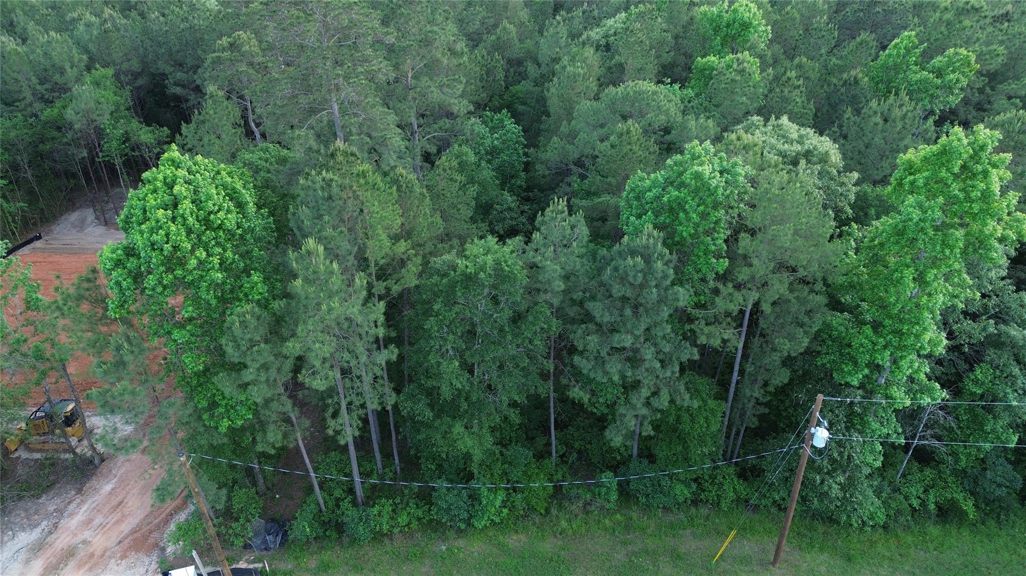 9-21-55 Bighorn Road