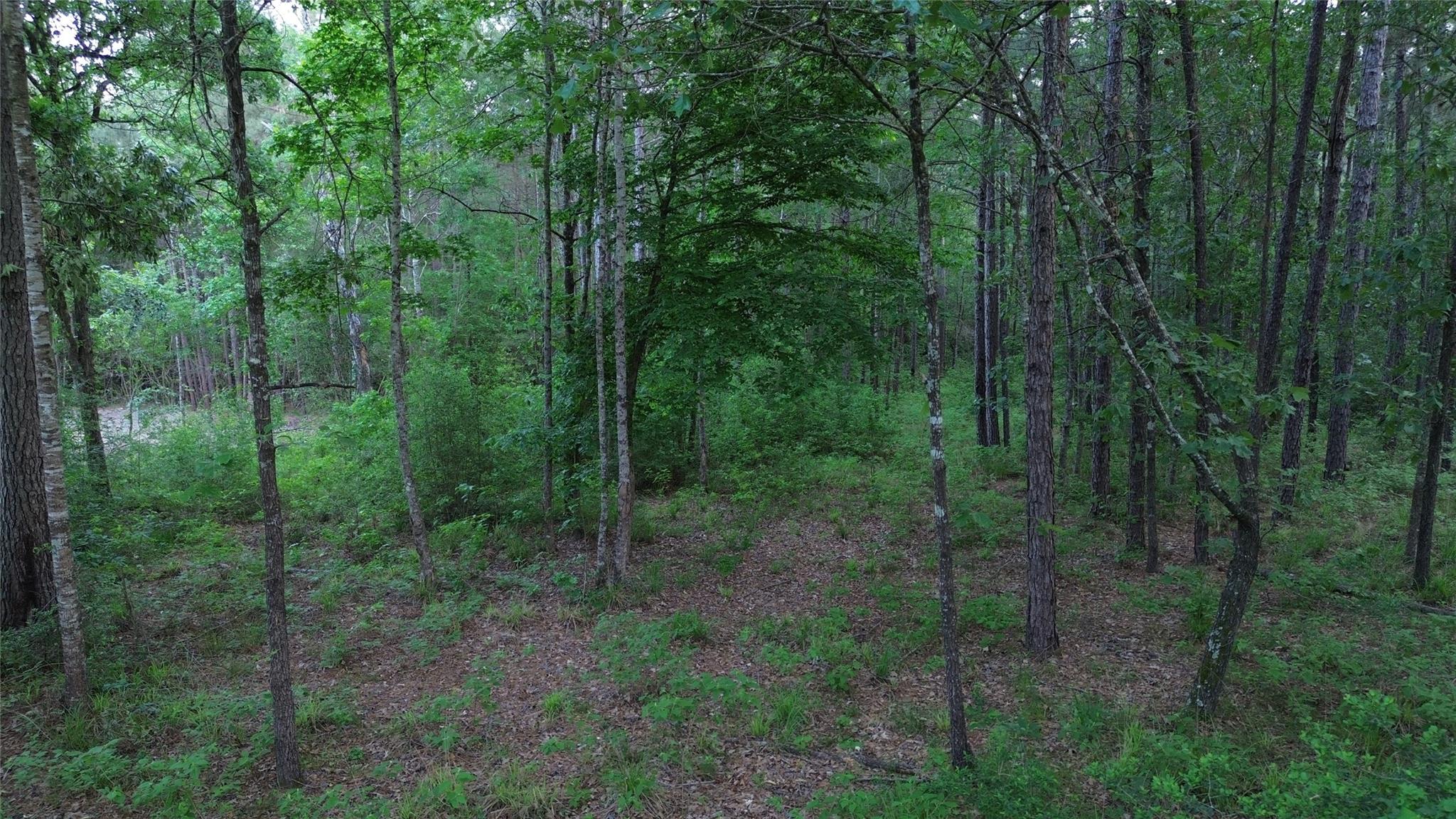 9-21-55 Bighorn Road