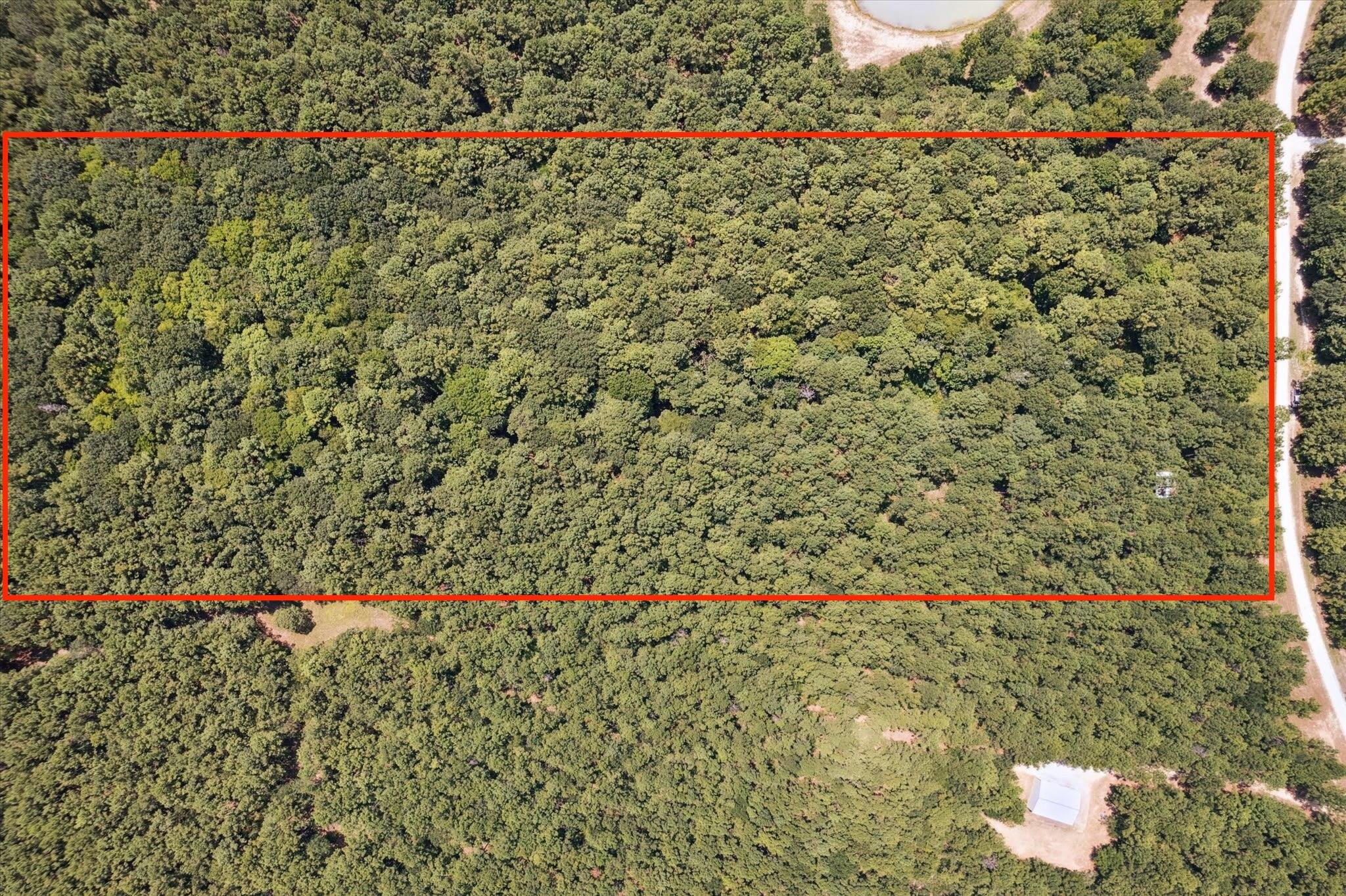 4970 Deep Forest Trail