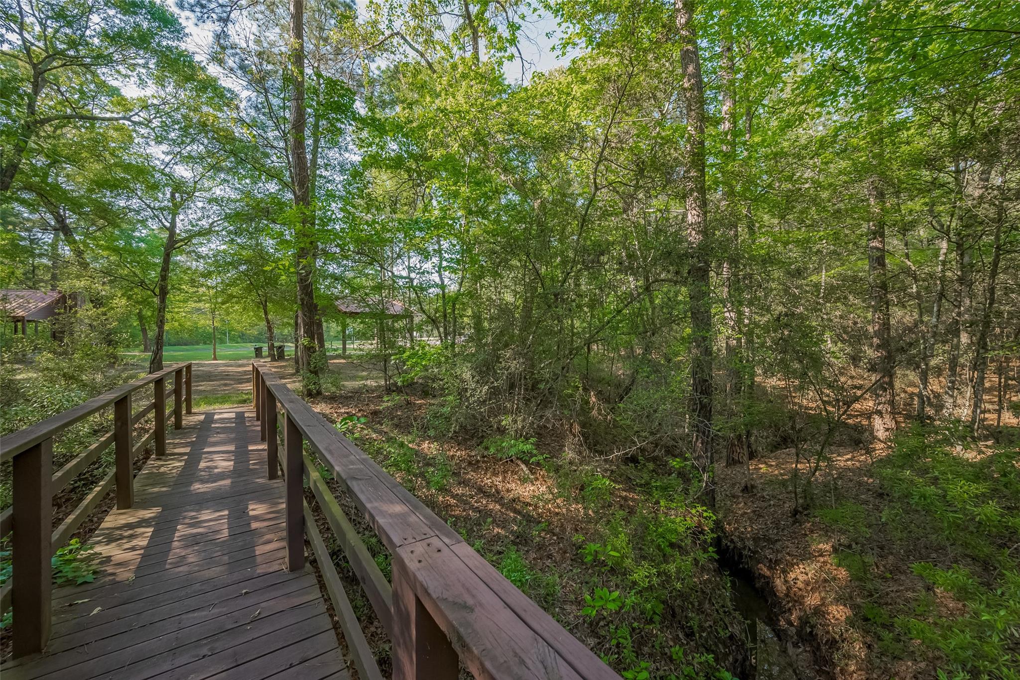 1-6-17 Dedication Trail