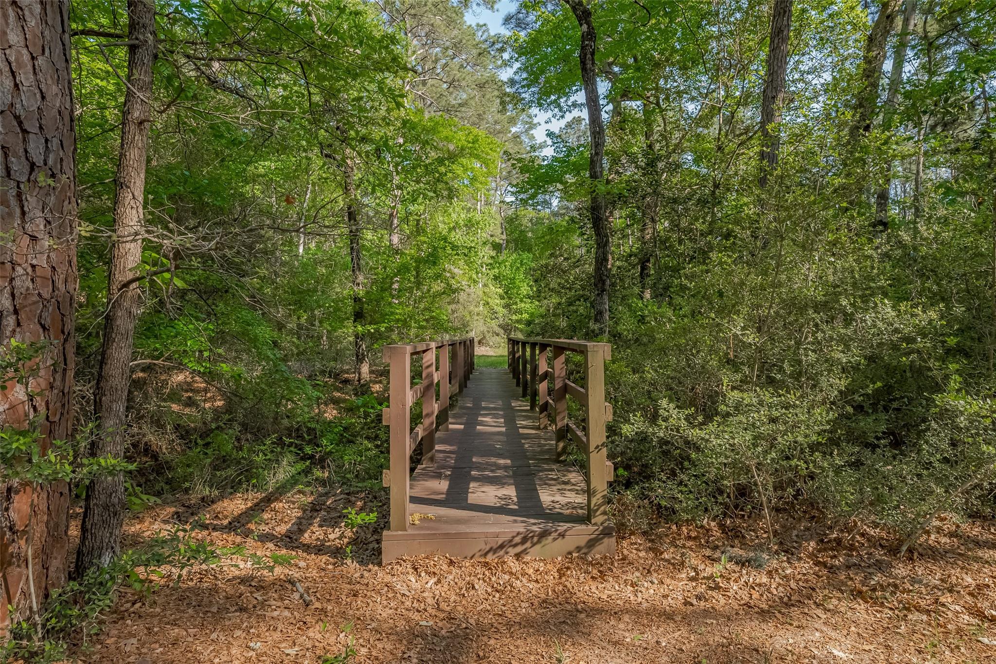 1-6-17 Dedication Trail
