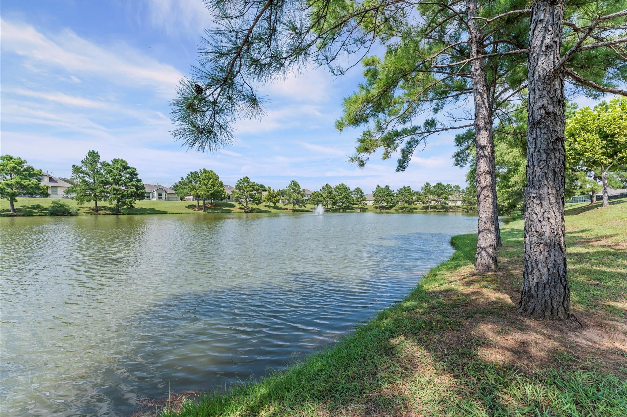 11306 Misty Willow Lane