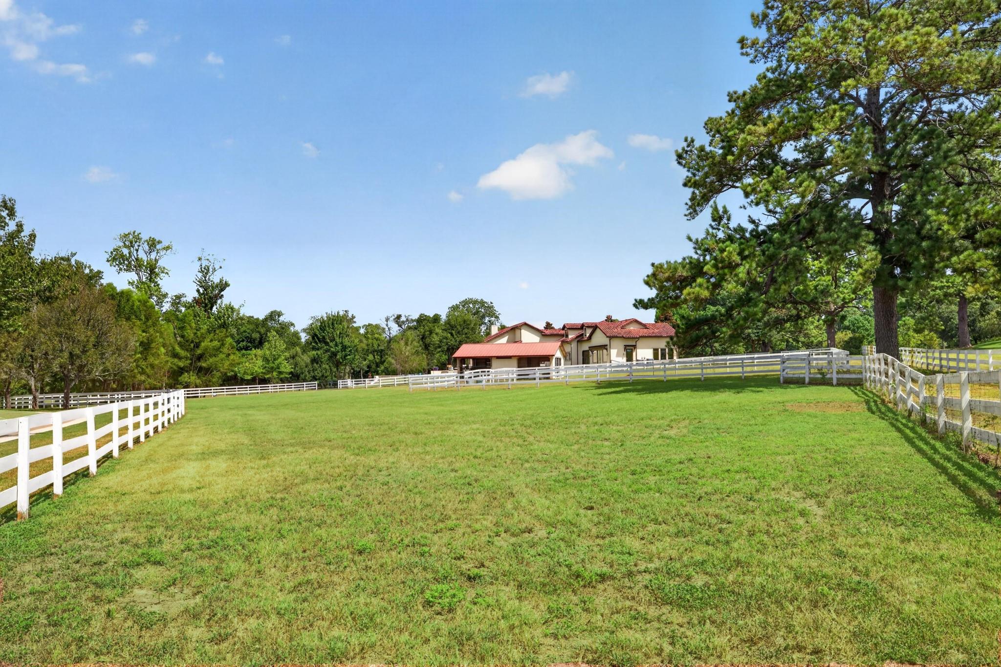24005 Old Dobbin Plantersville Road