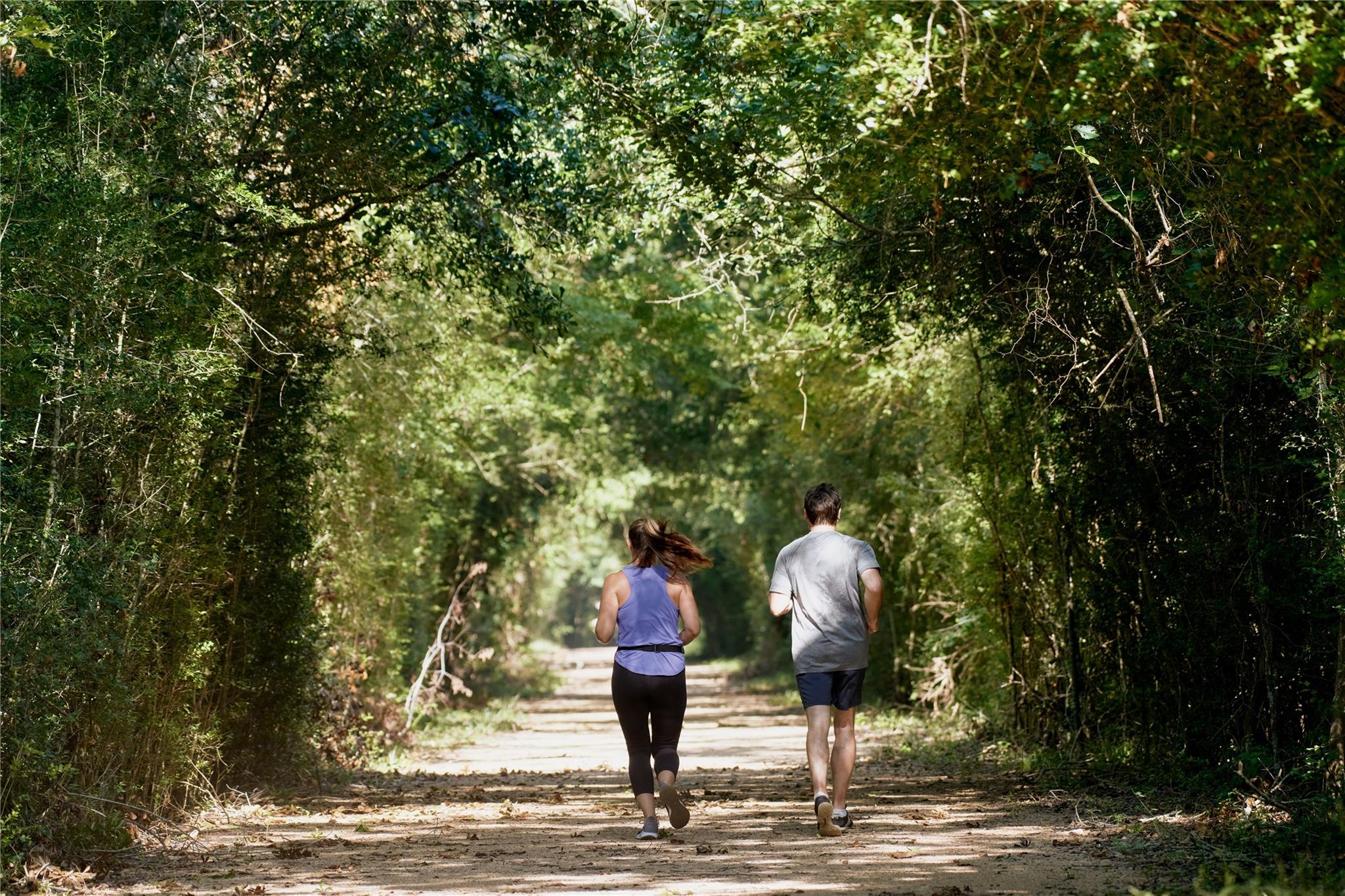 11123 Swamp Edge Lane