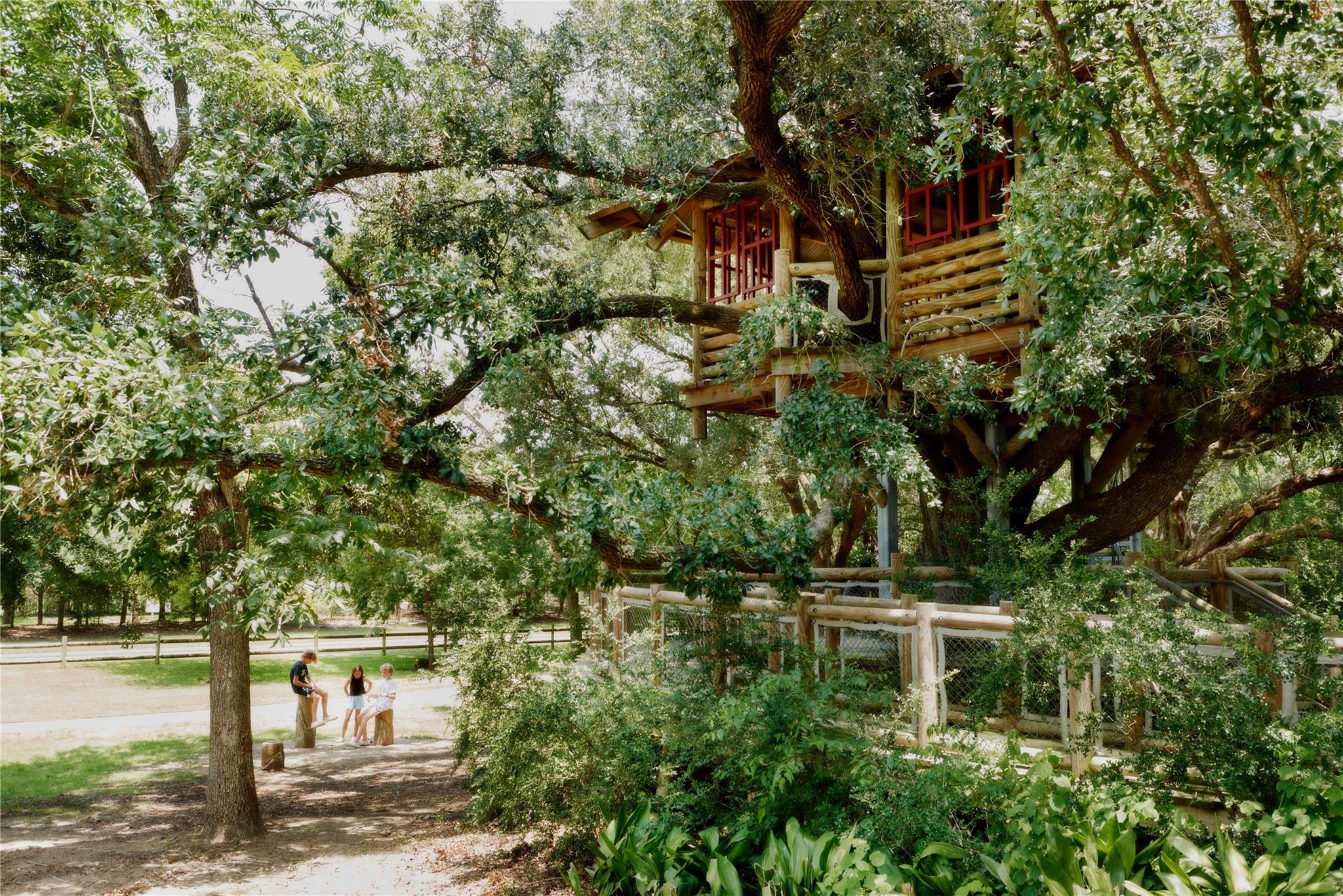 11123 Swamp Edge Lane