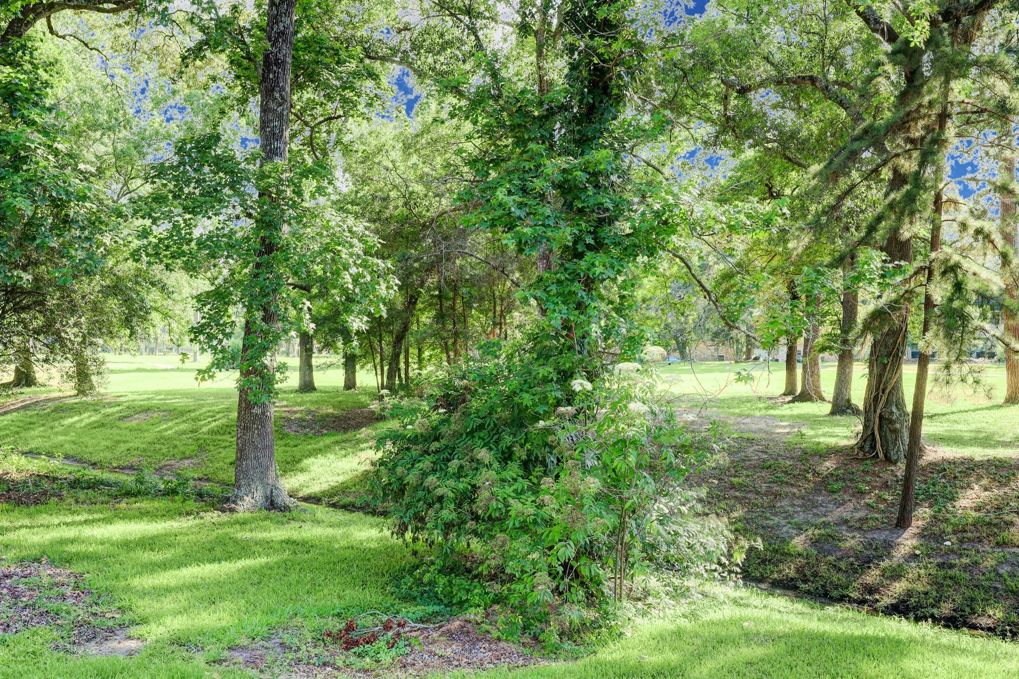 20019 Legend Oak Drive