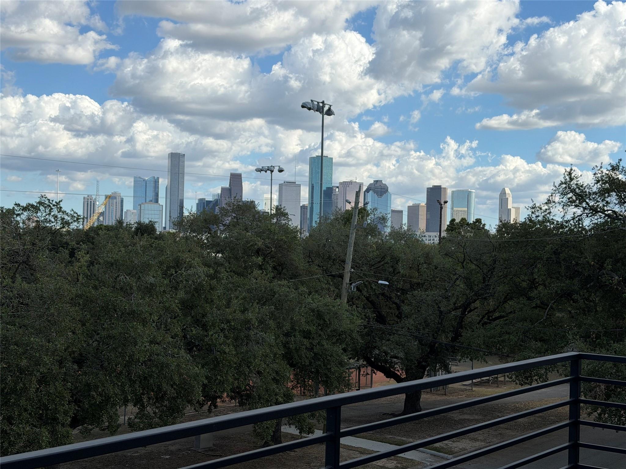 1030 Voight Street, Houston