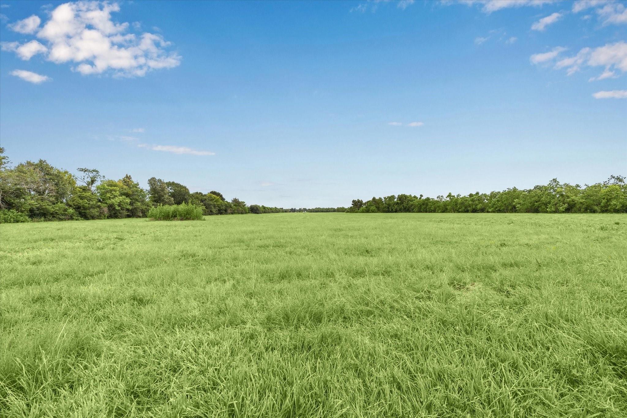 16910 Bohemian Hall Road