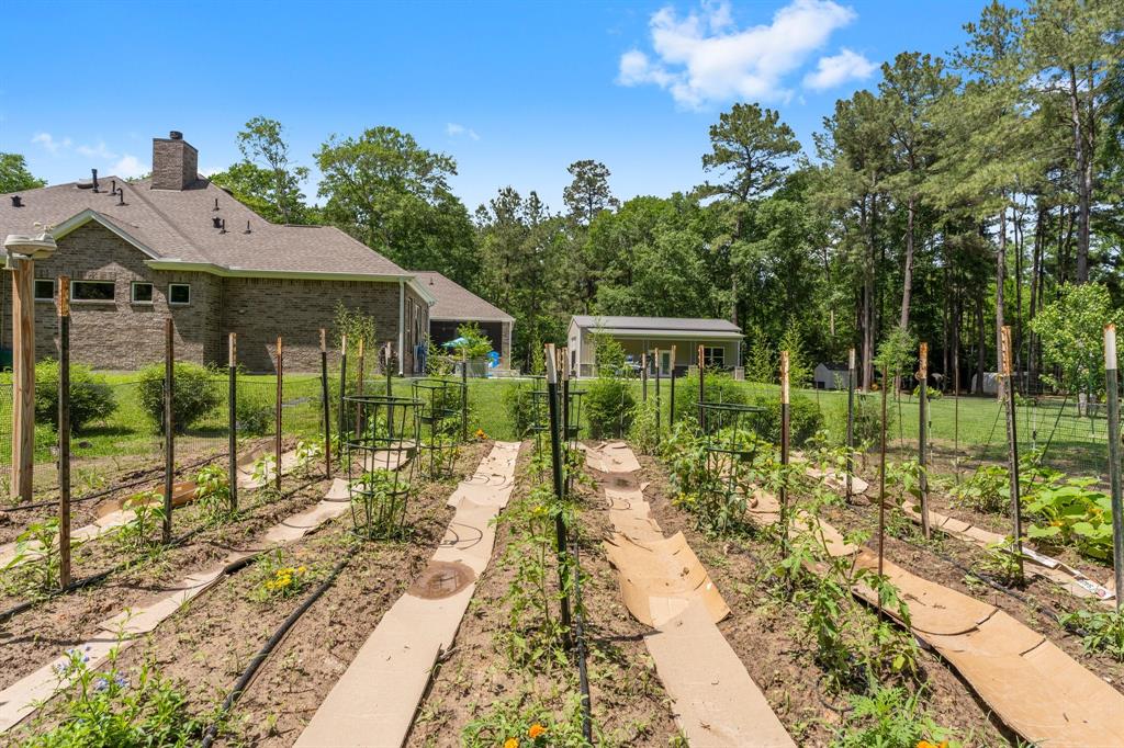 262 Fire Sky Road