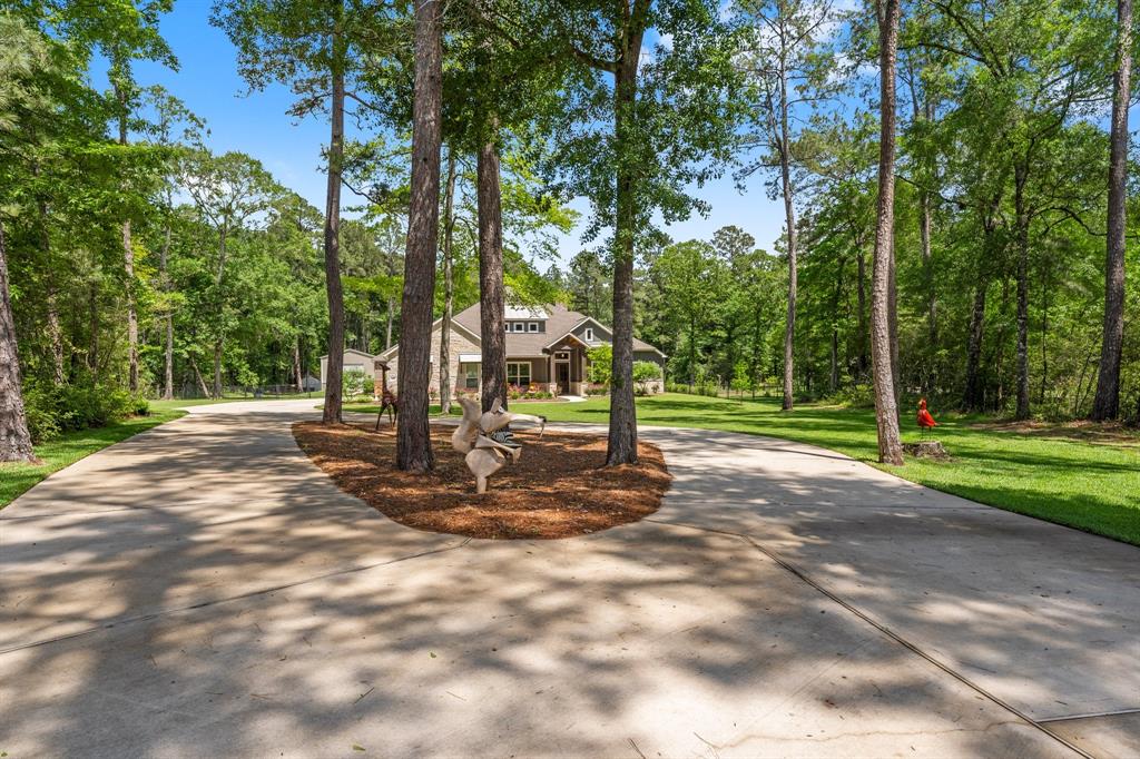 262 Fire Sky Road