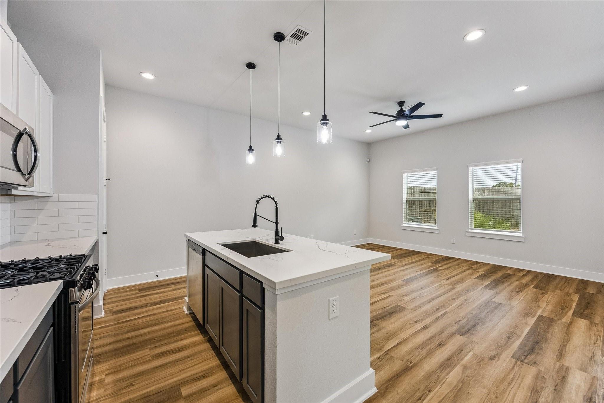 13163 Perennial Springs Drive