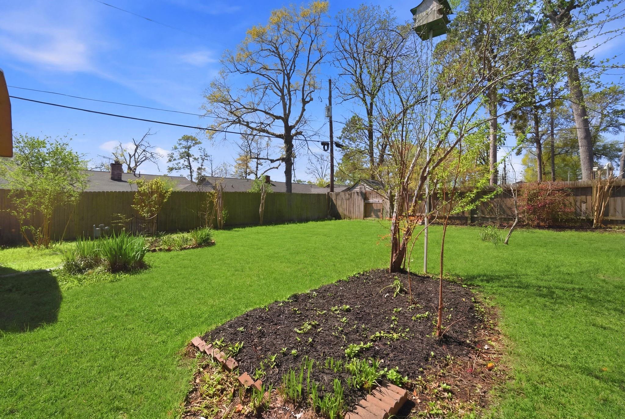 1105 Northpine Drive