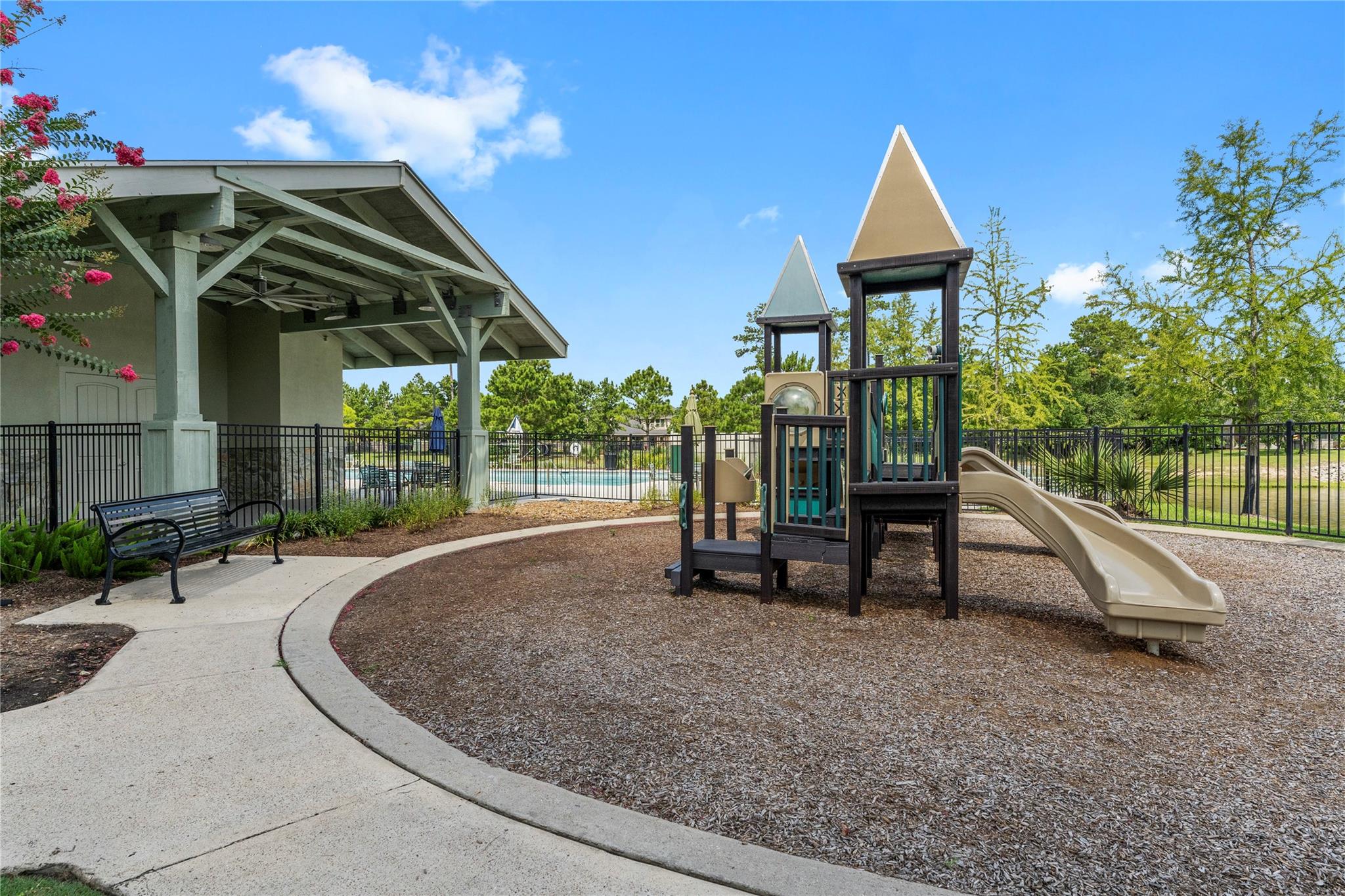 17696 Tree Of Heaven