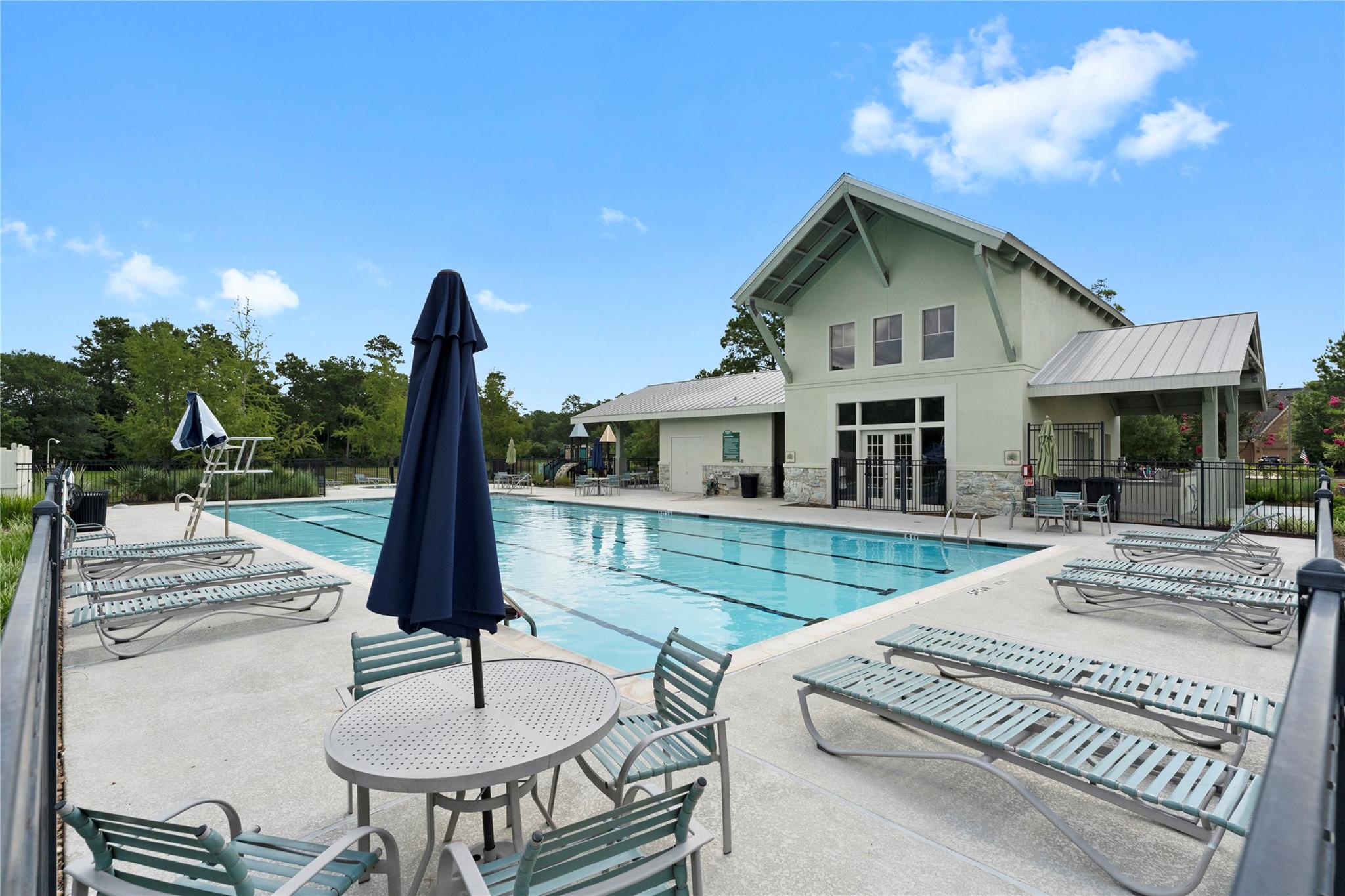 17696 Tree Of Heaven