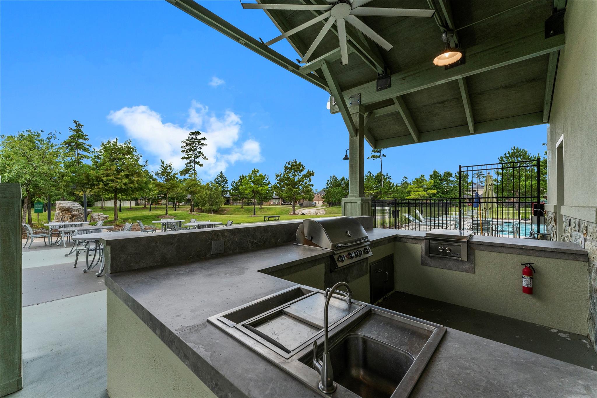 17696 Tree Of Heaven