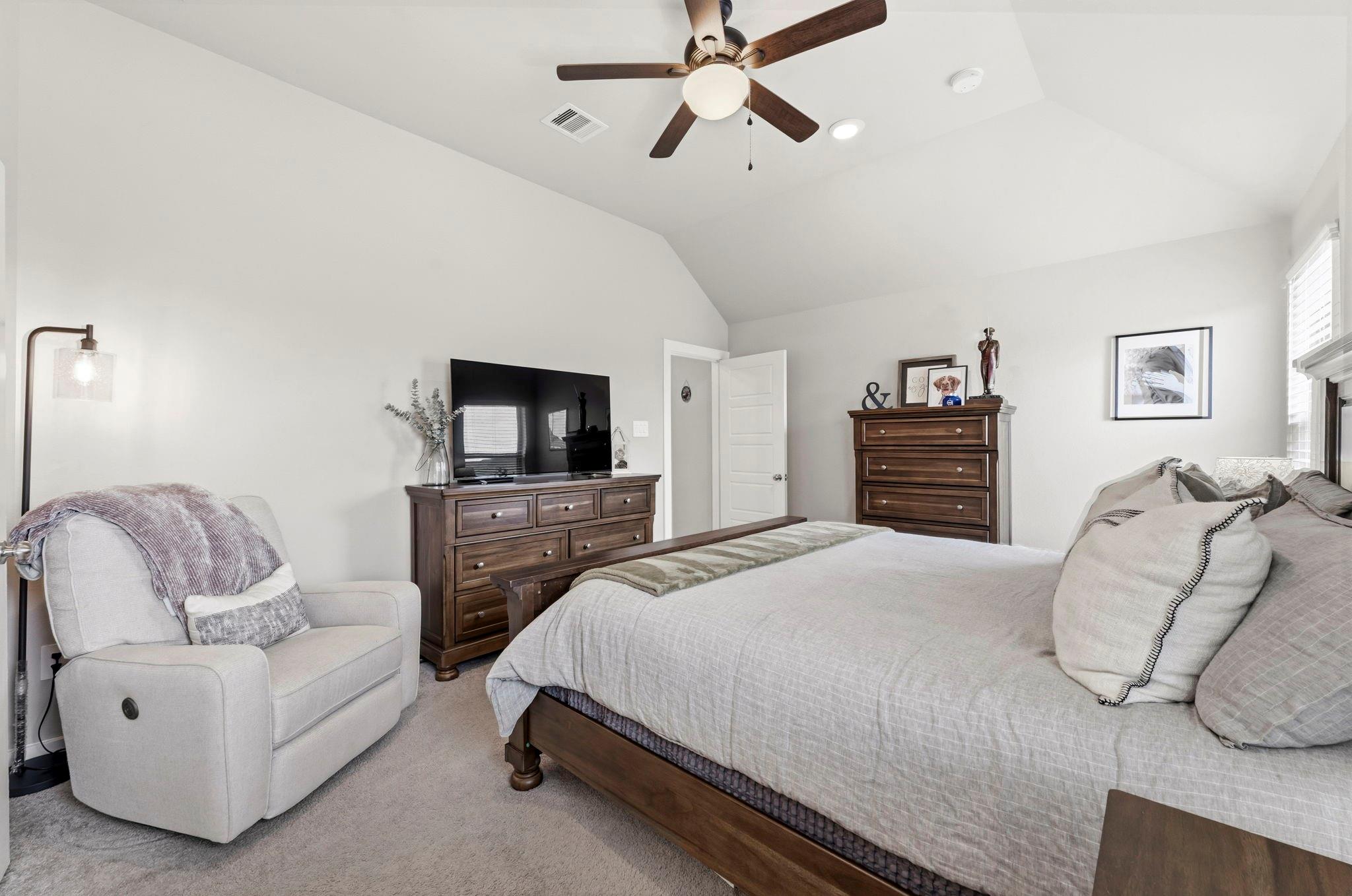 17696 Tree Of Heaven