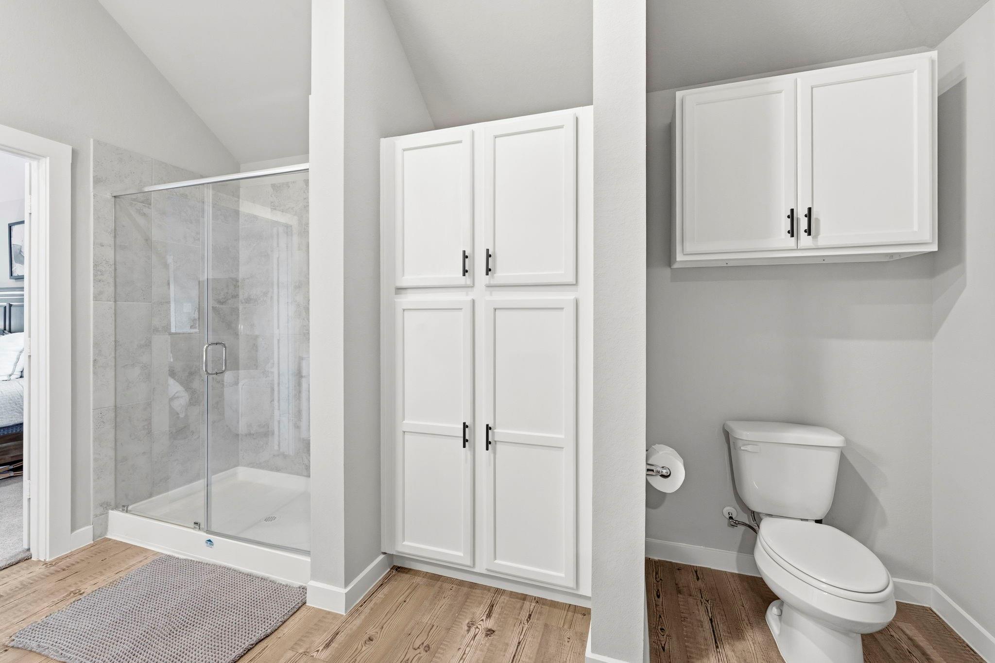 17696 Tree Of Heaven