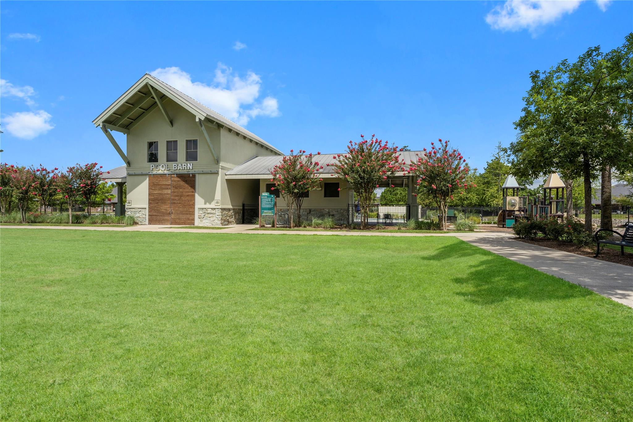 17696 Tree Of Heaven