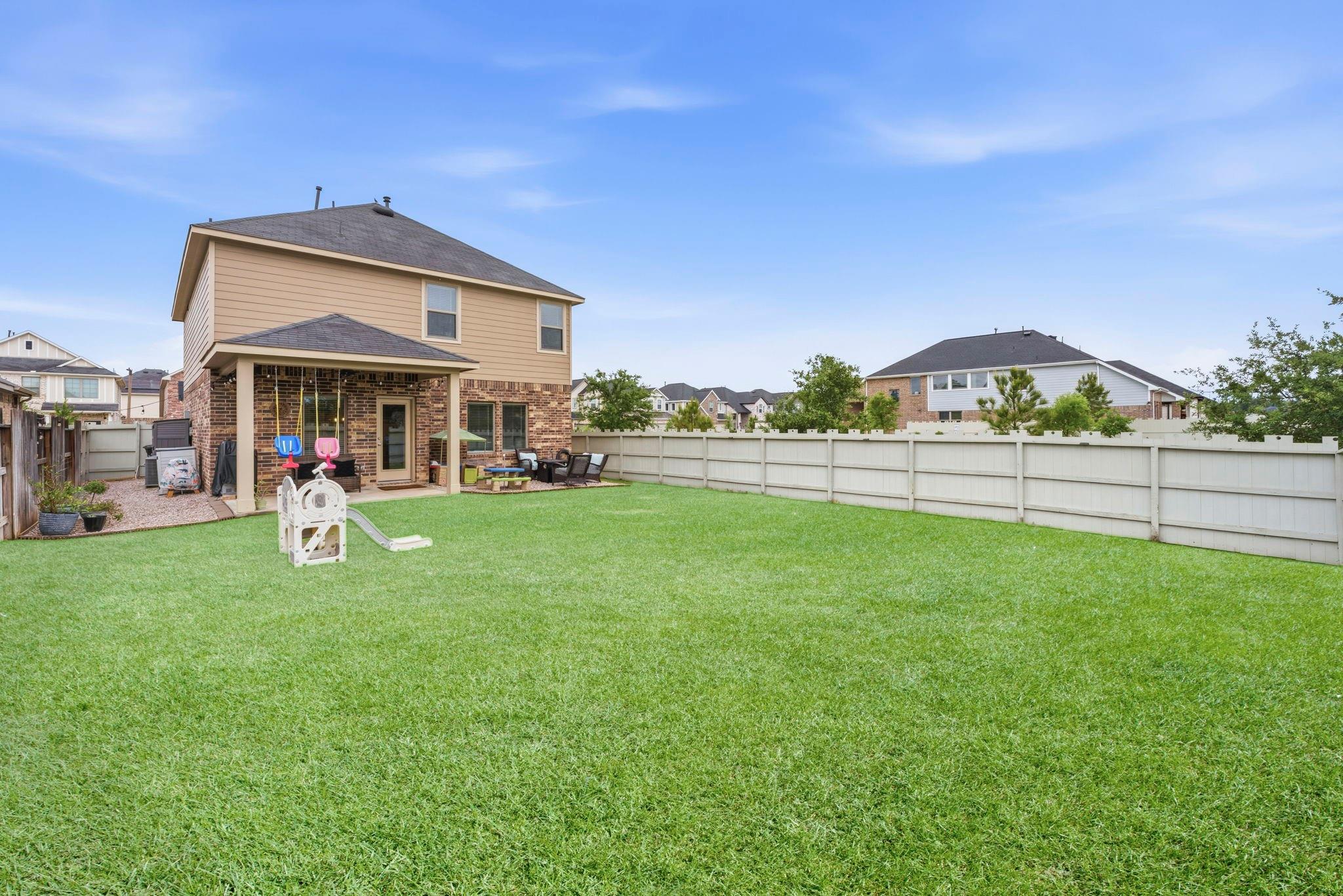 17696 Tree Of Heaven